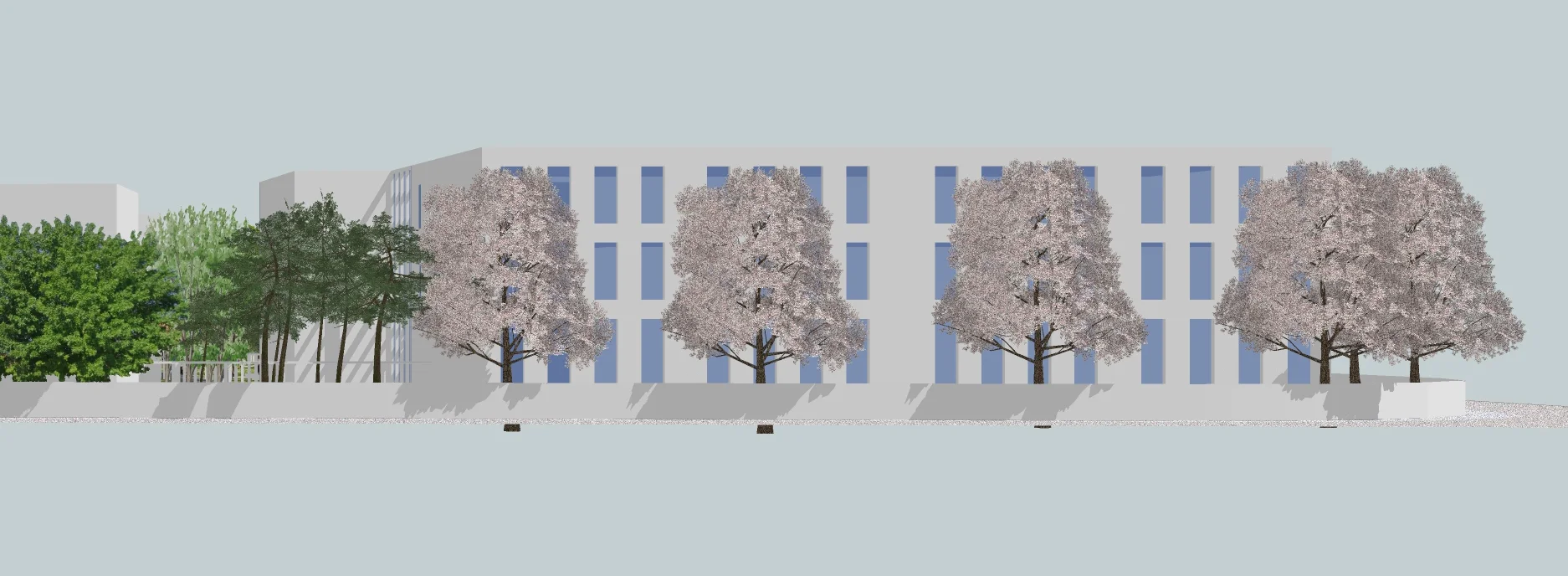 elevation 2.jpg