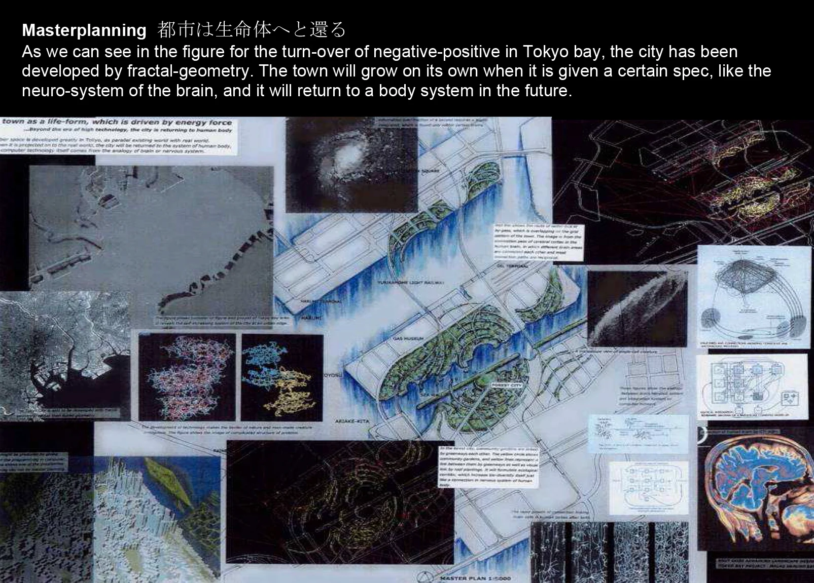 07 Tokyo Bay Regeneration-5.jpg