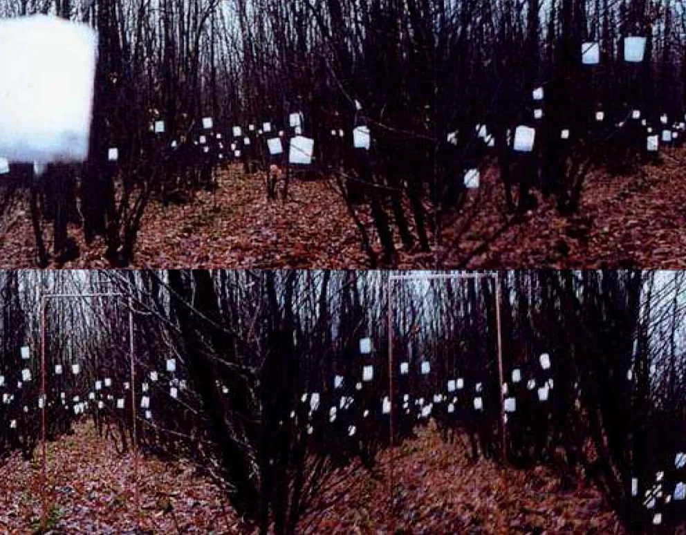 01 Lighting Installation-2.jpg