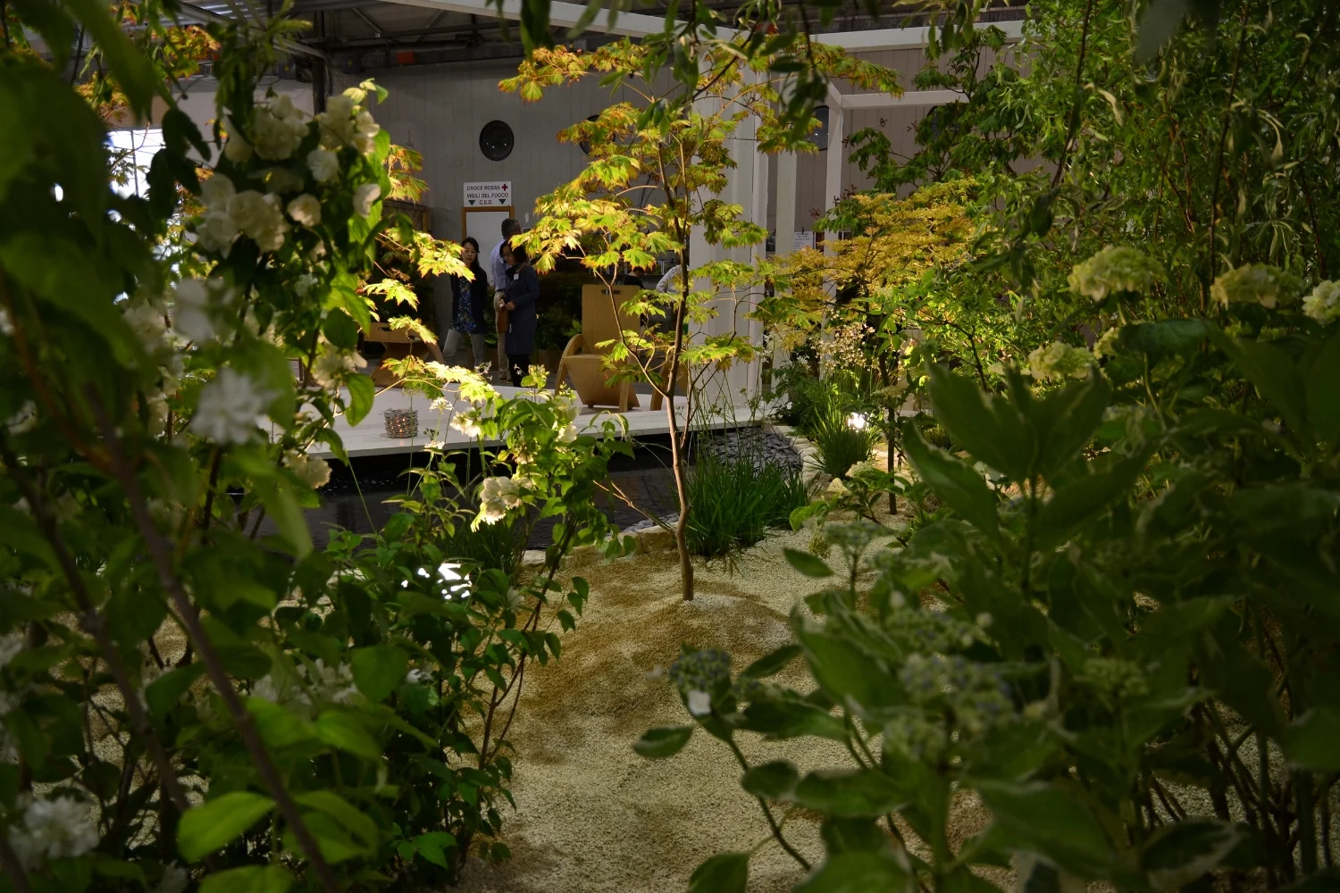 Garden in White 05.JPG