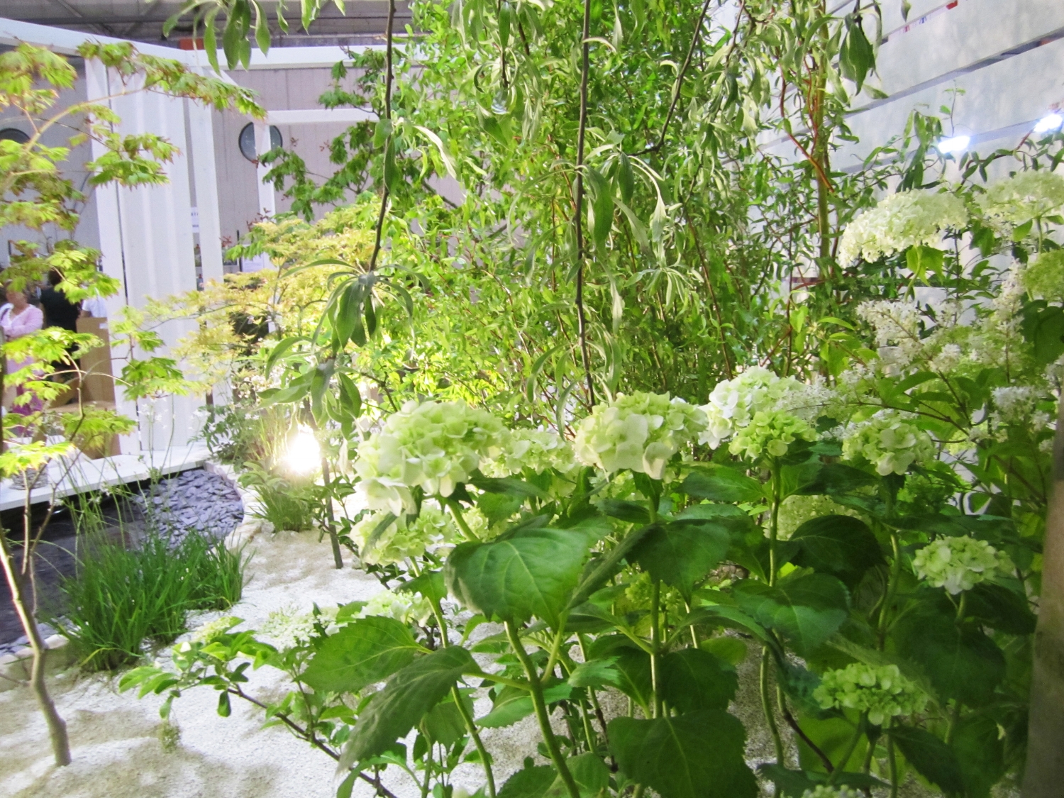 2014-05-26 00.04.41.jpg