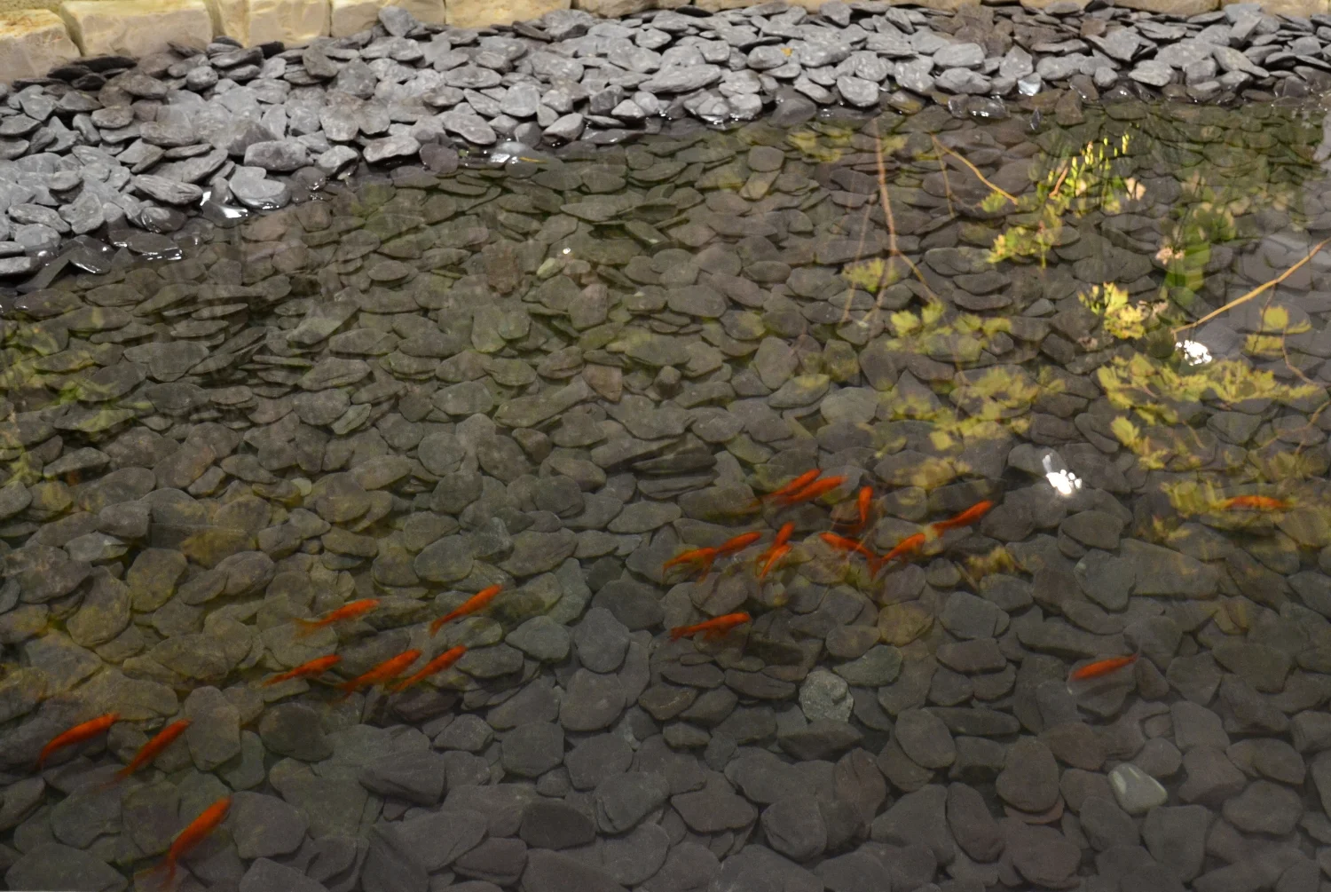 Garden in White 10.JPG