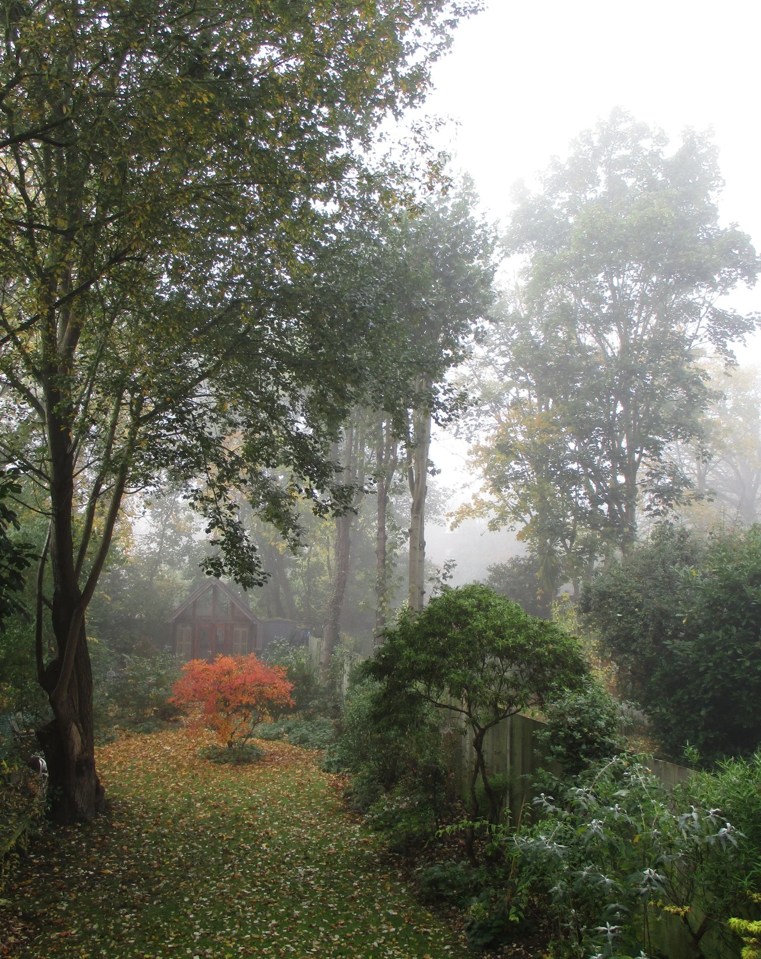 garden studio 05.jpg