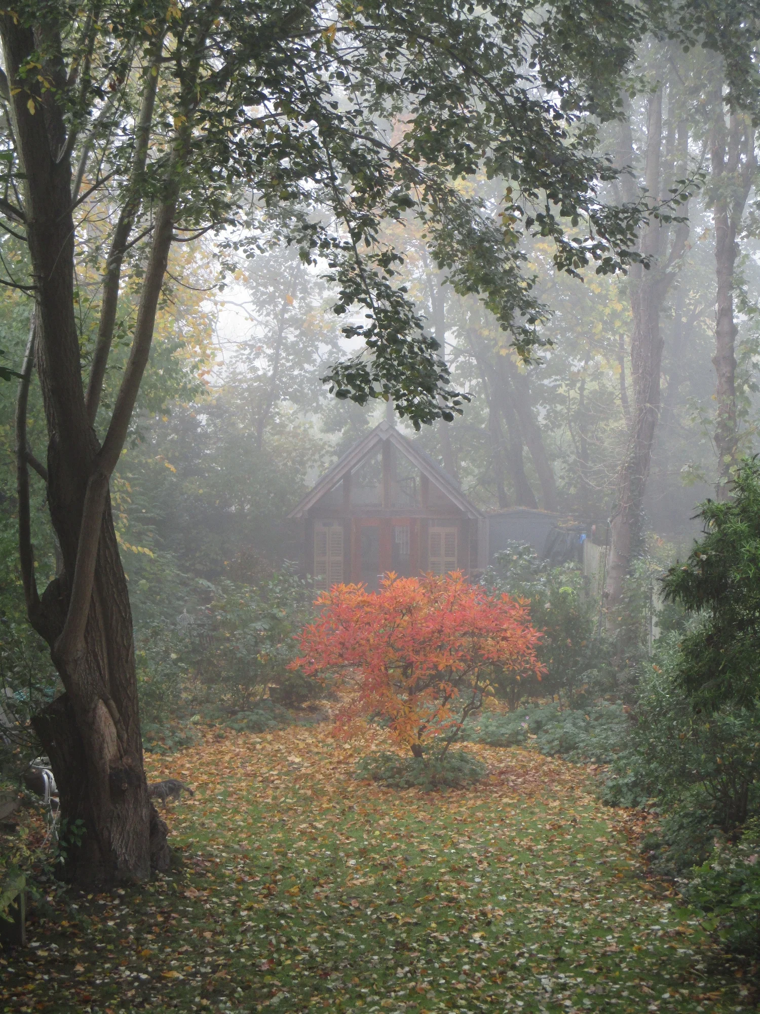 garden studio 06.jpg