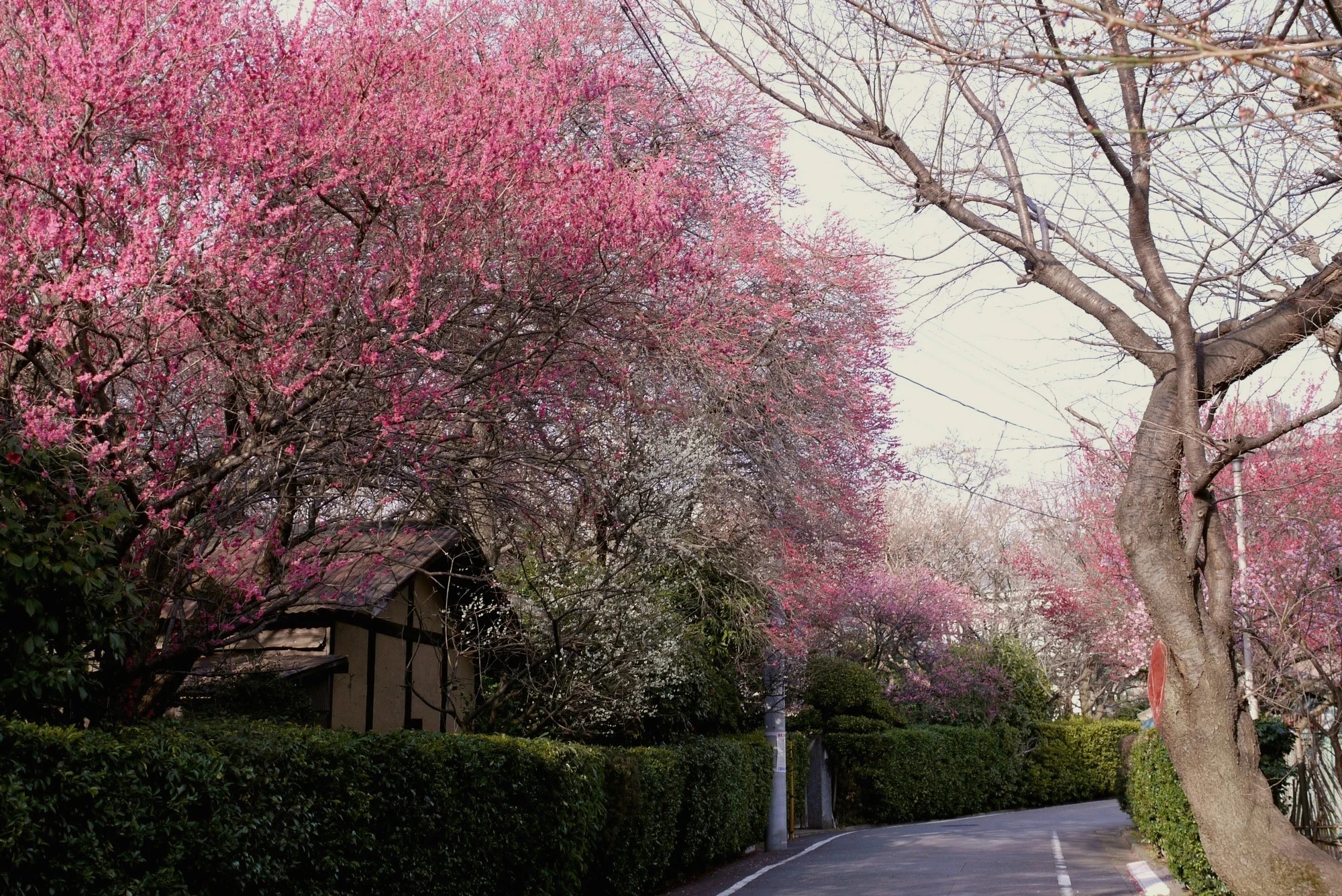 Photography: Takayuki Nakane