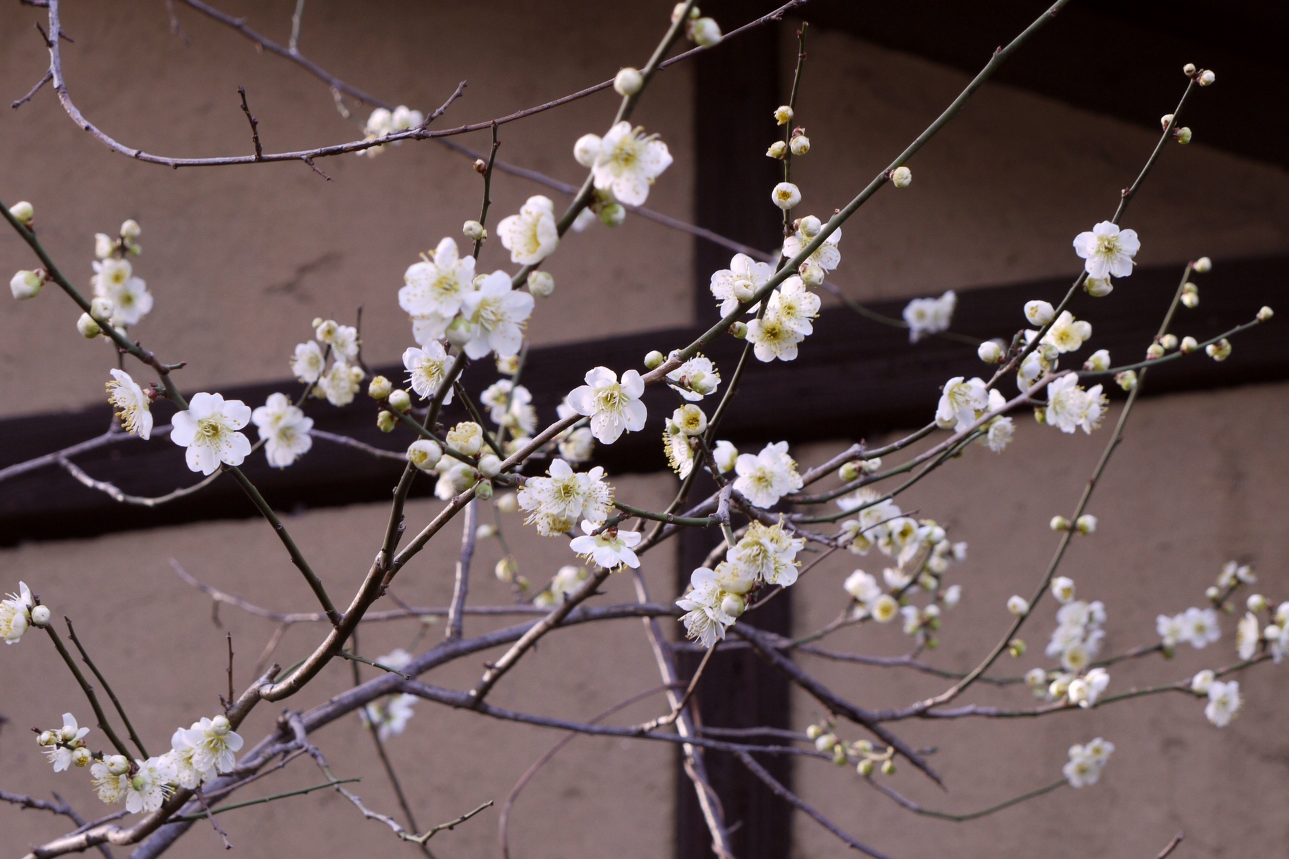 Photography: Takayuki Nakane