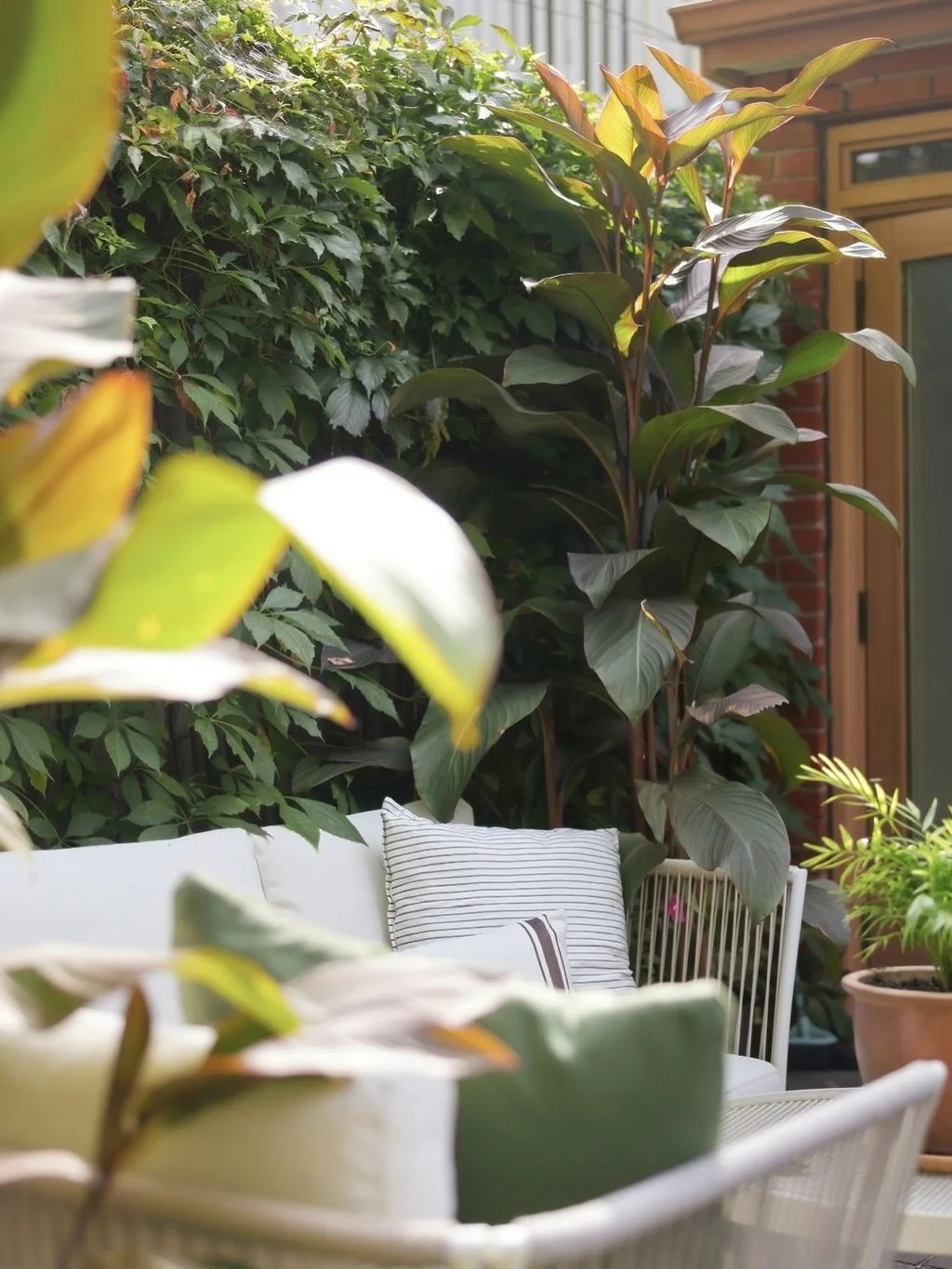 The response to 22 Cavell has been so fun to watch over the last few days.

So many of you have reached out about this one, and we get it.

This home is like taking one big exhale.

So today, we&rsquo;re sharing some of our favourite details from the