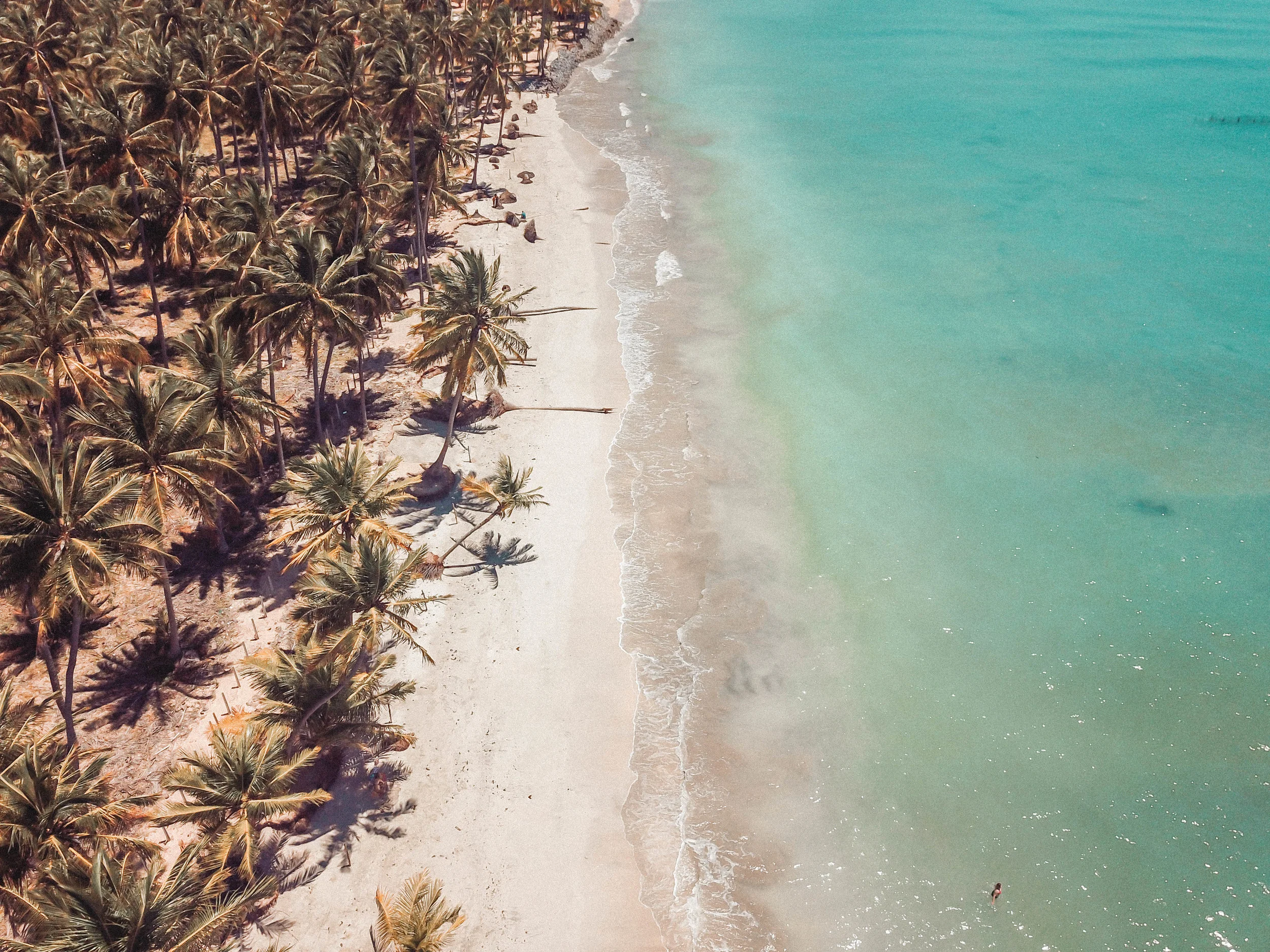 DJI_0378.jpg