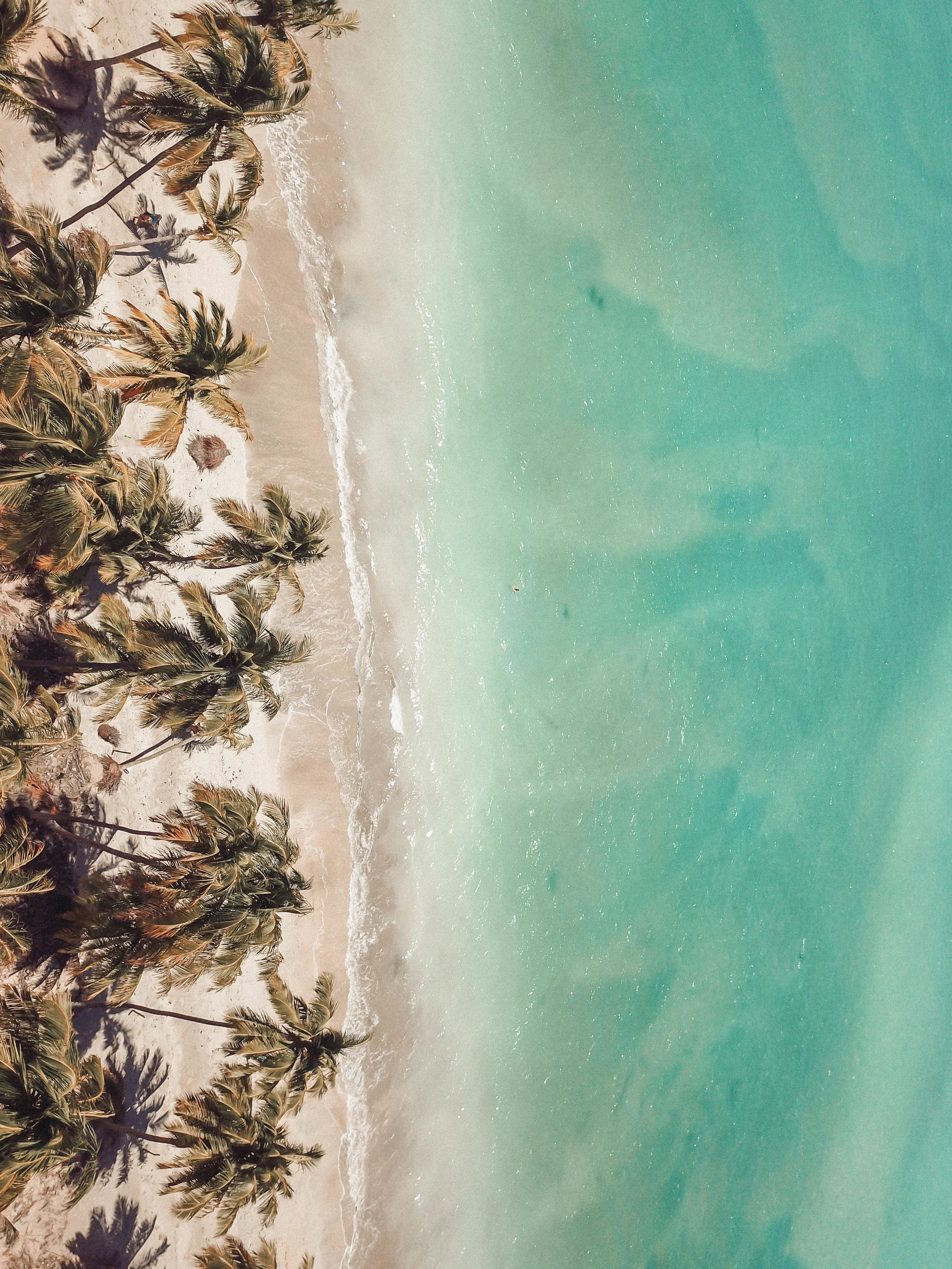 DJI_0383.jpg