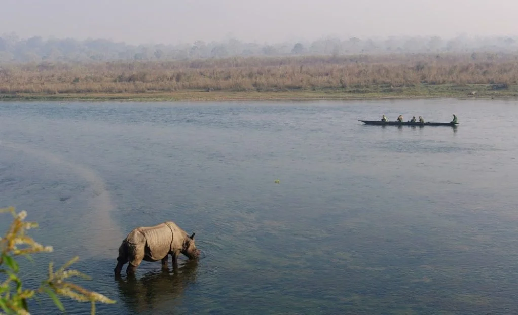 chitwan.jpg