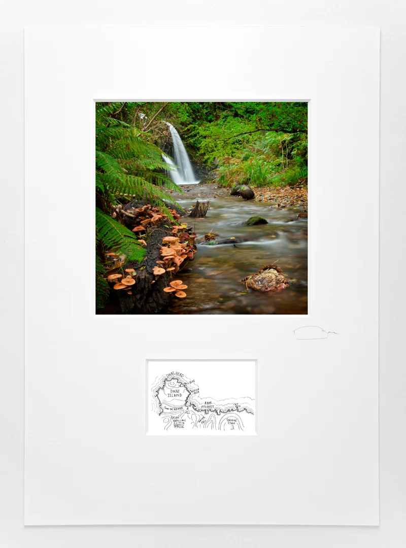 Waterfall in the Woods