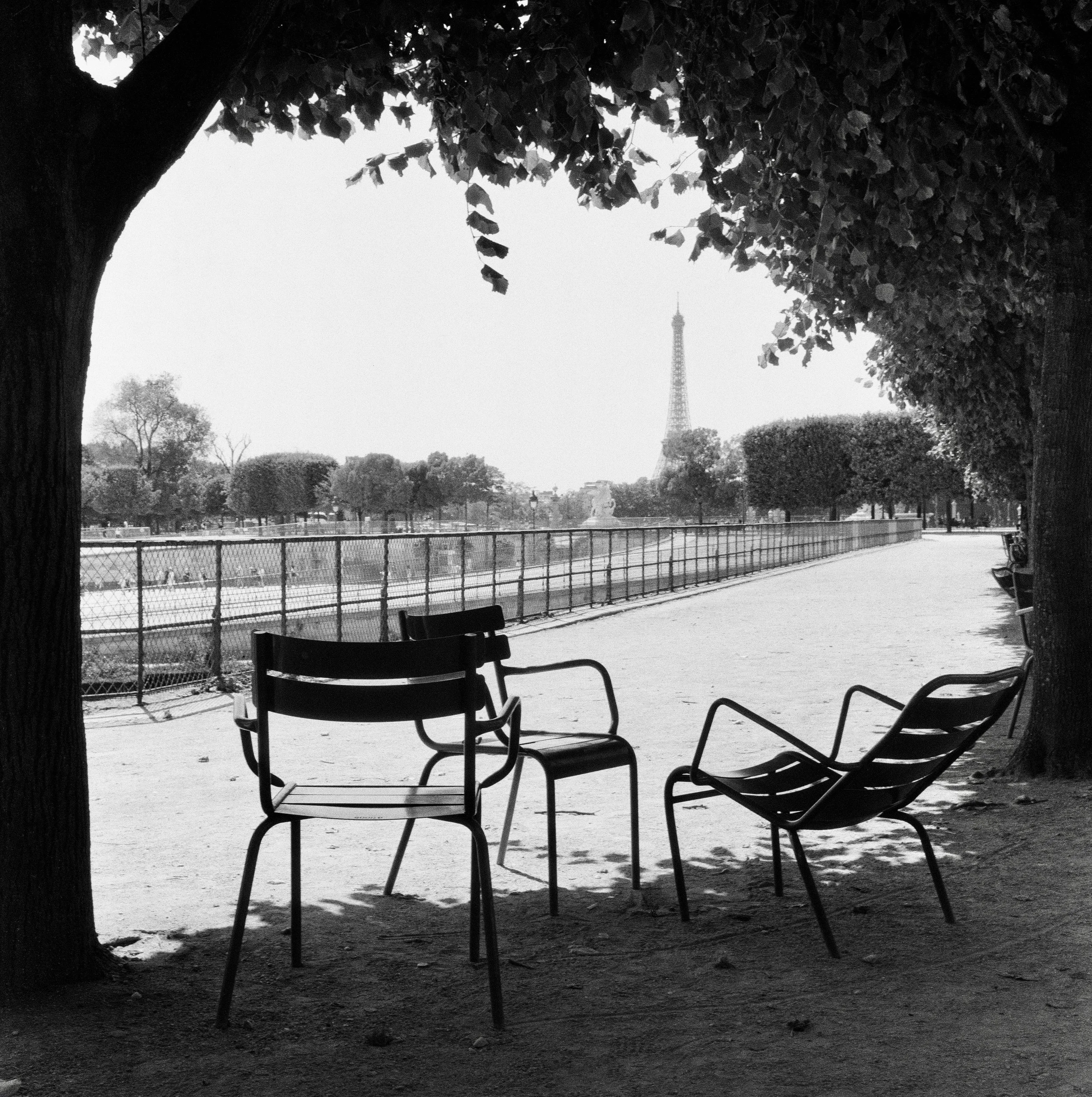 Jardin de Tuileries (2019)