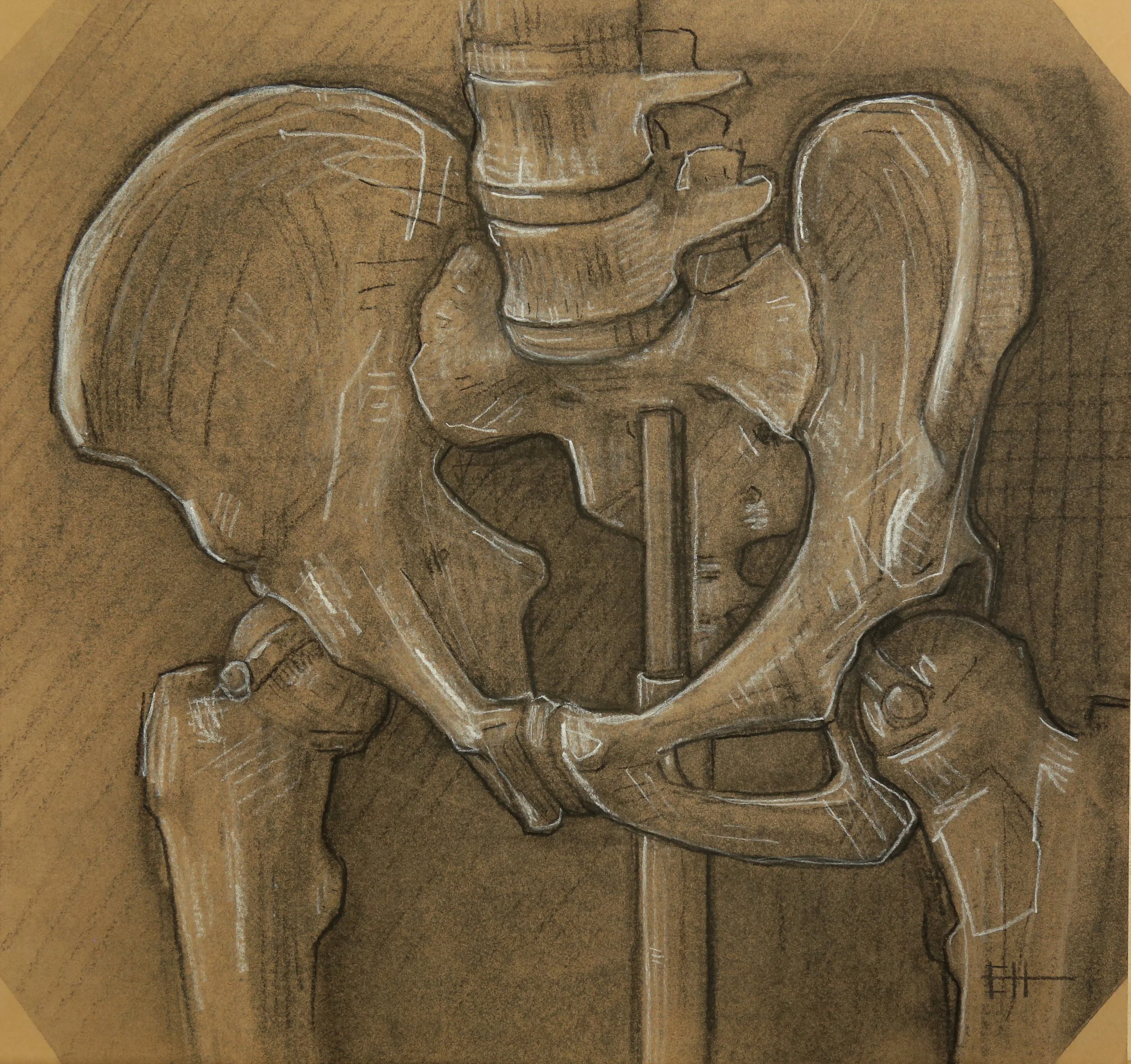 Stan study, charcoal and chalk on paper 25x24cm.JPG