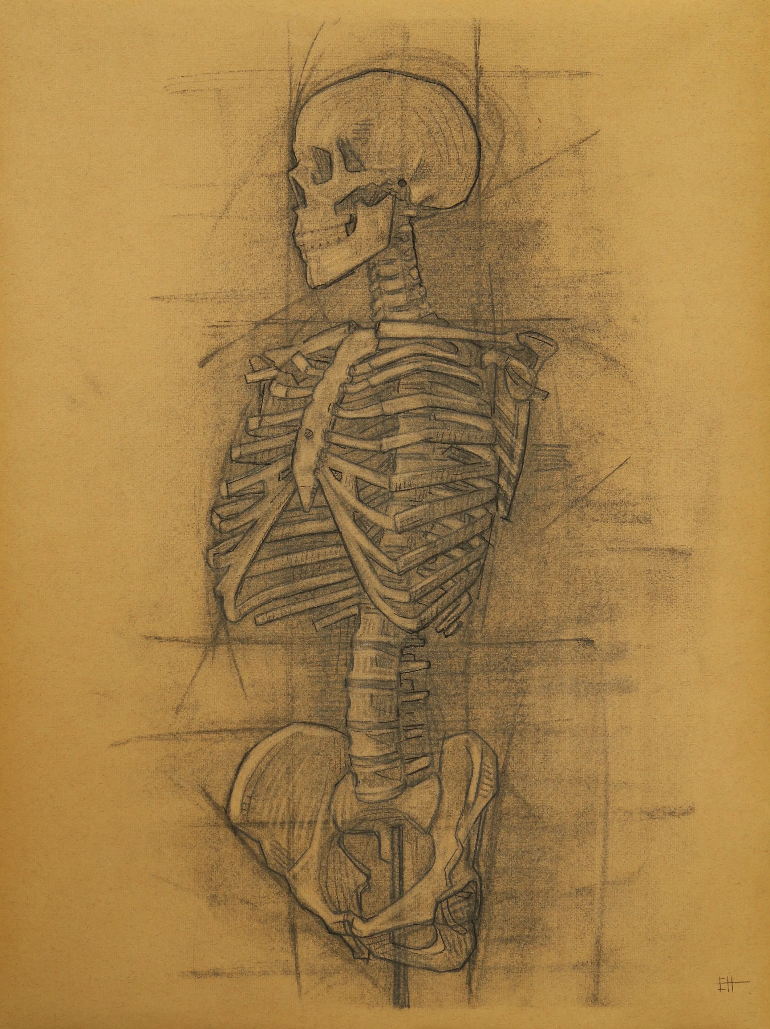 Stan study, charcoal on paper, 63x48cm..JPG