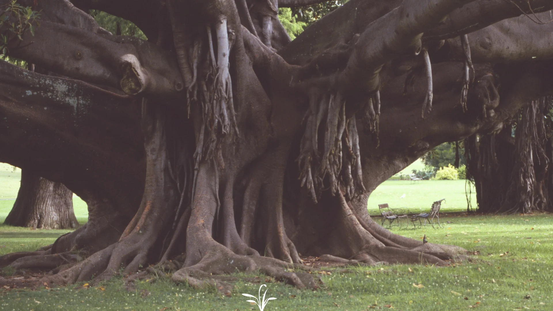 Garden City: Creative Lessons, Courses, Music, Production, and Publication that Serves You