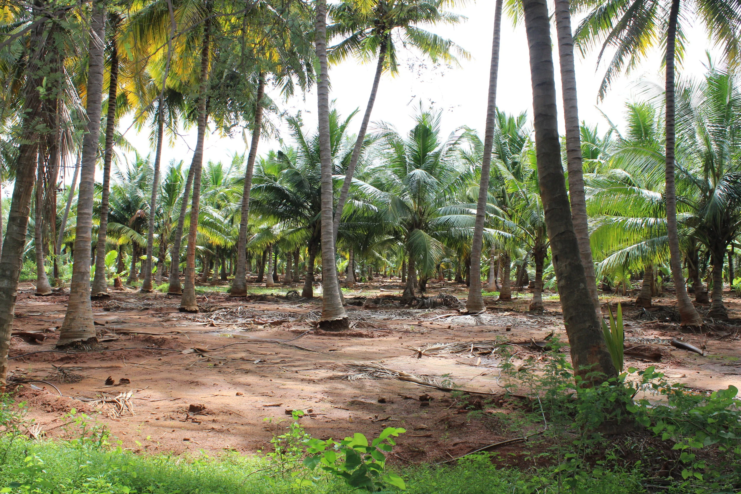 Sunshine in your inbox!