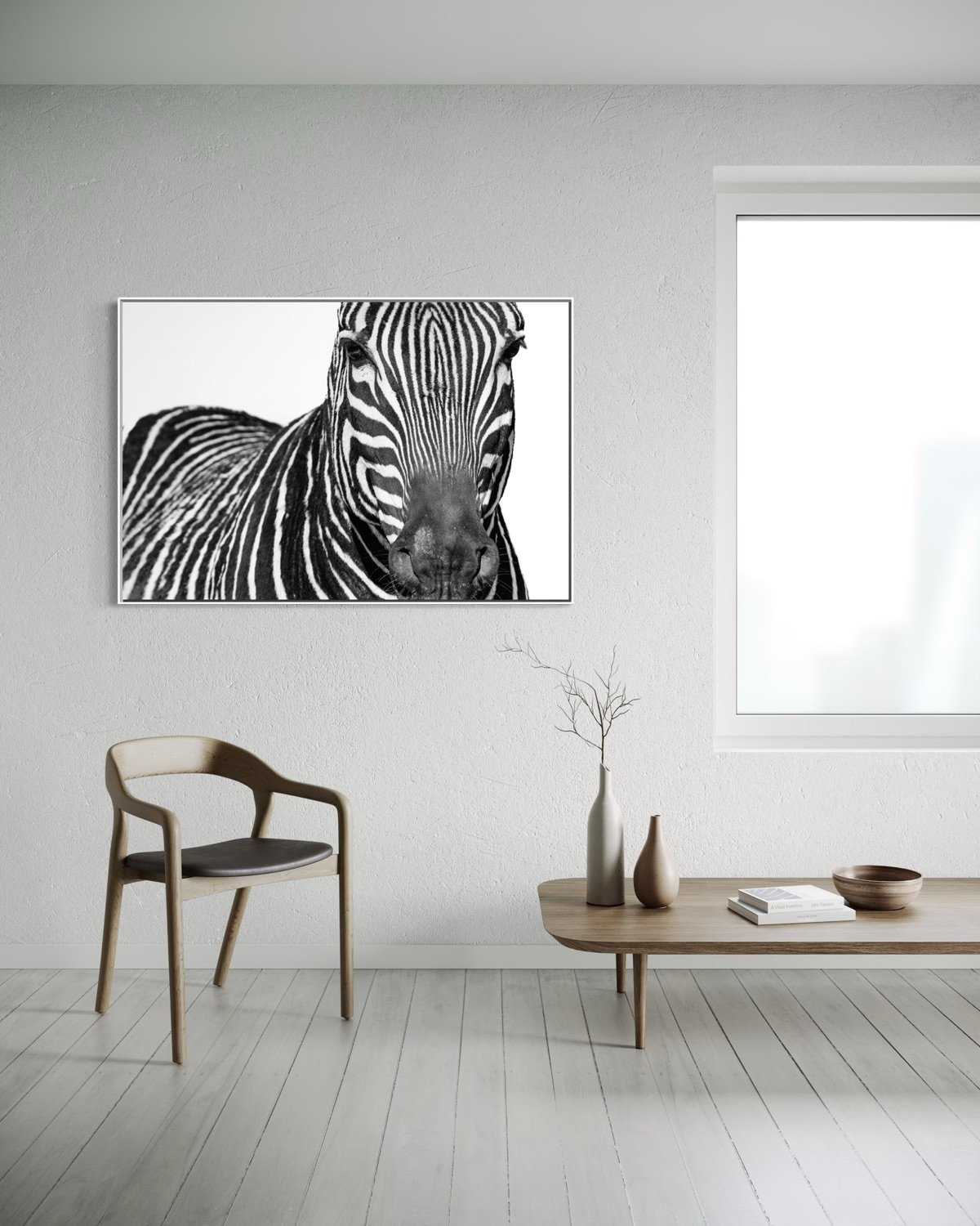 zebra.jpg