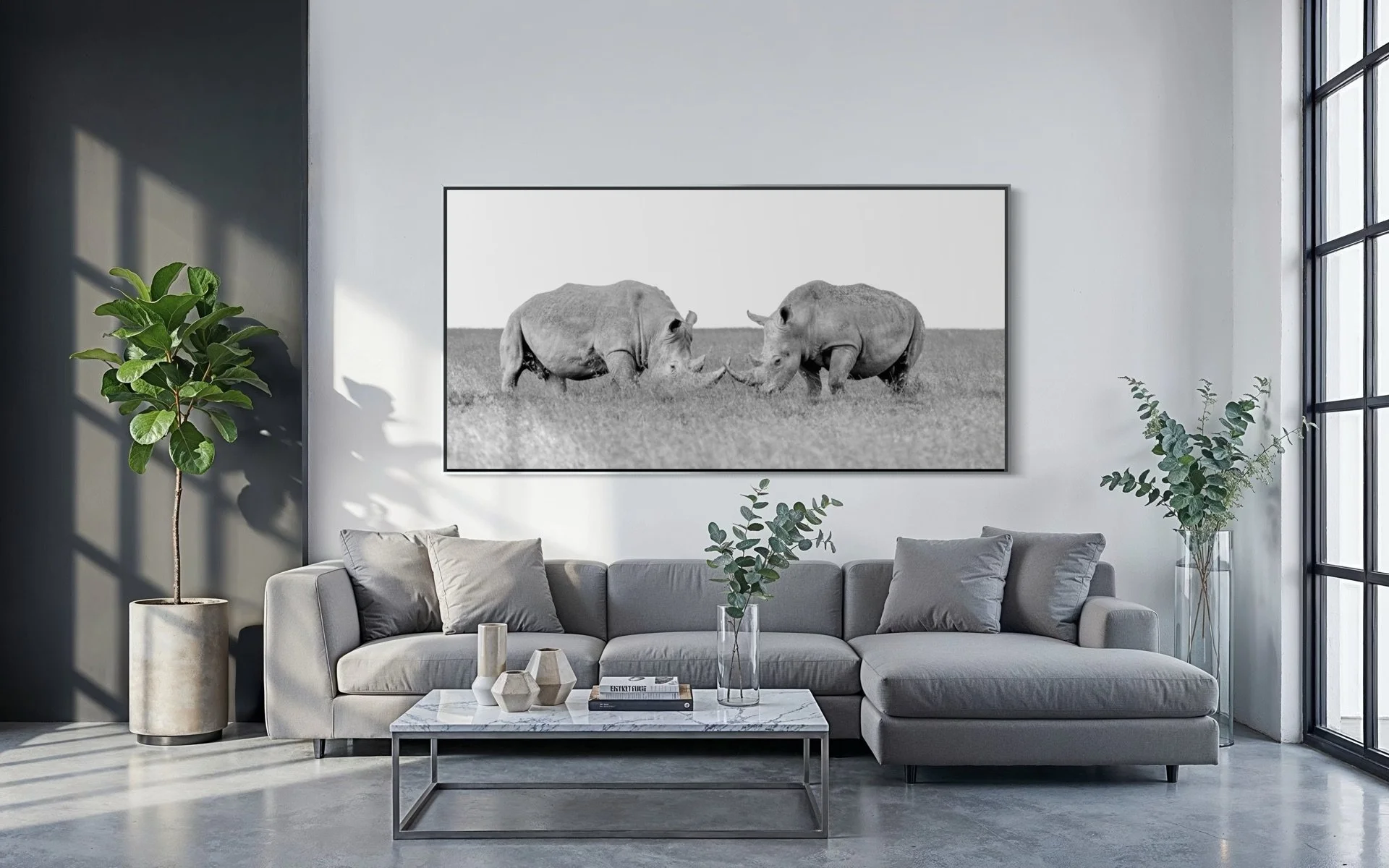 white -rhinos -3.jpg