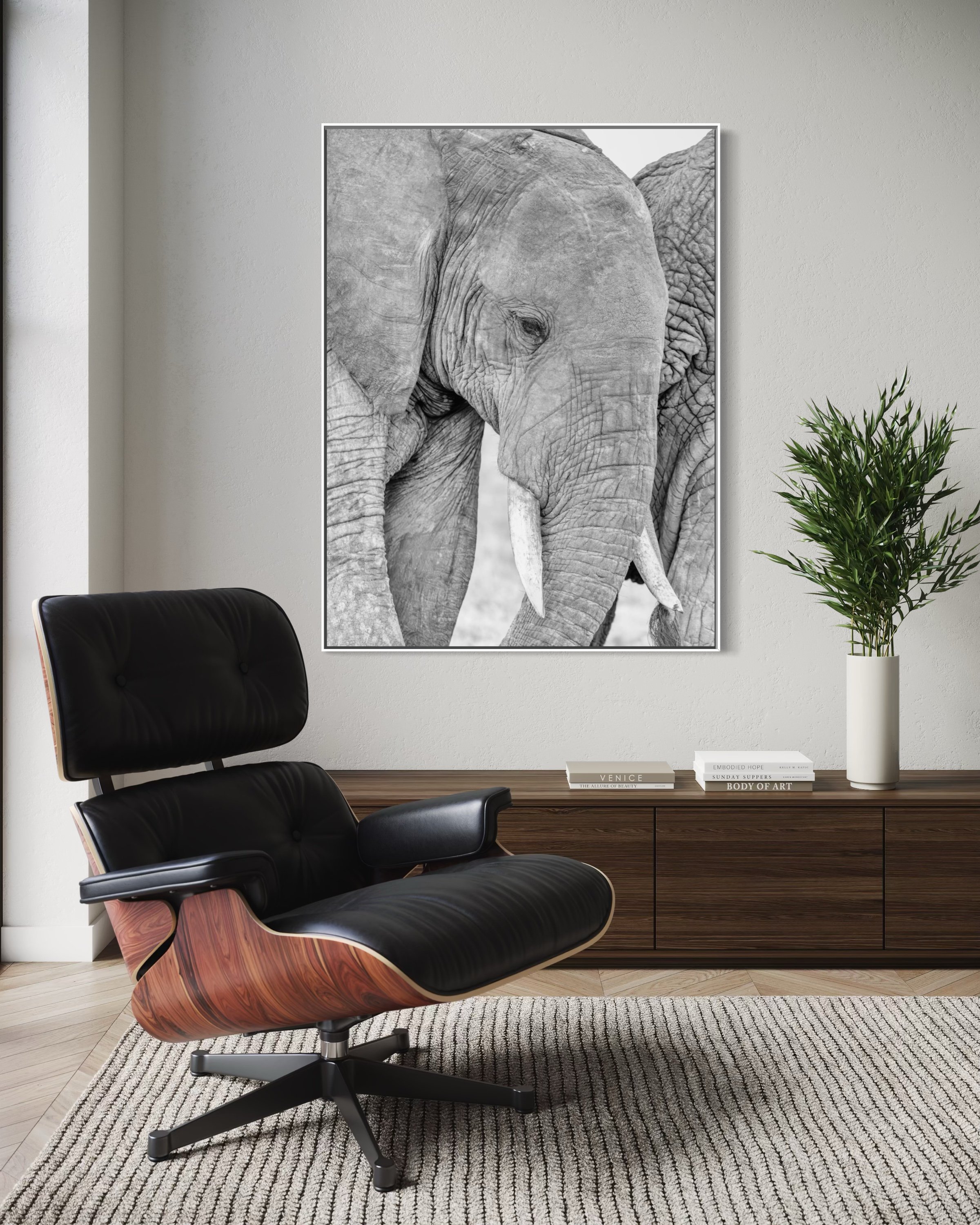 elephant-tender-moments-2.jpg