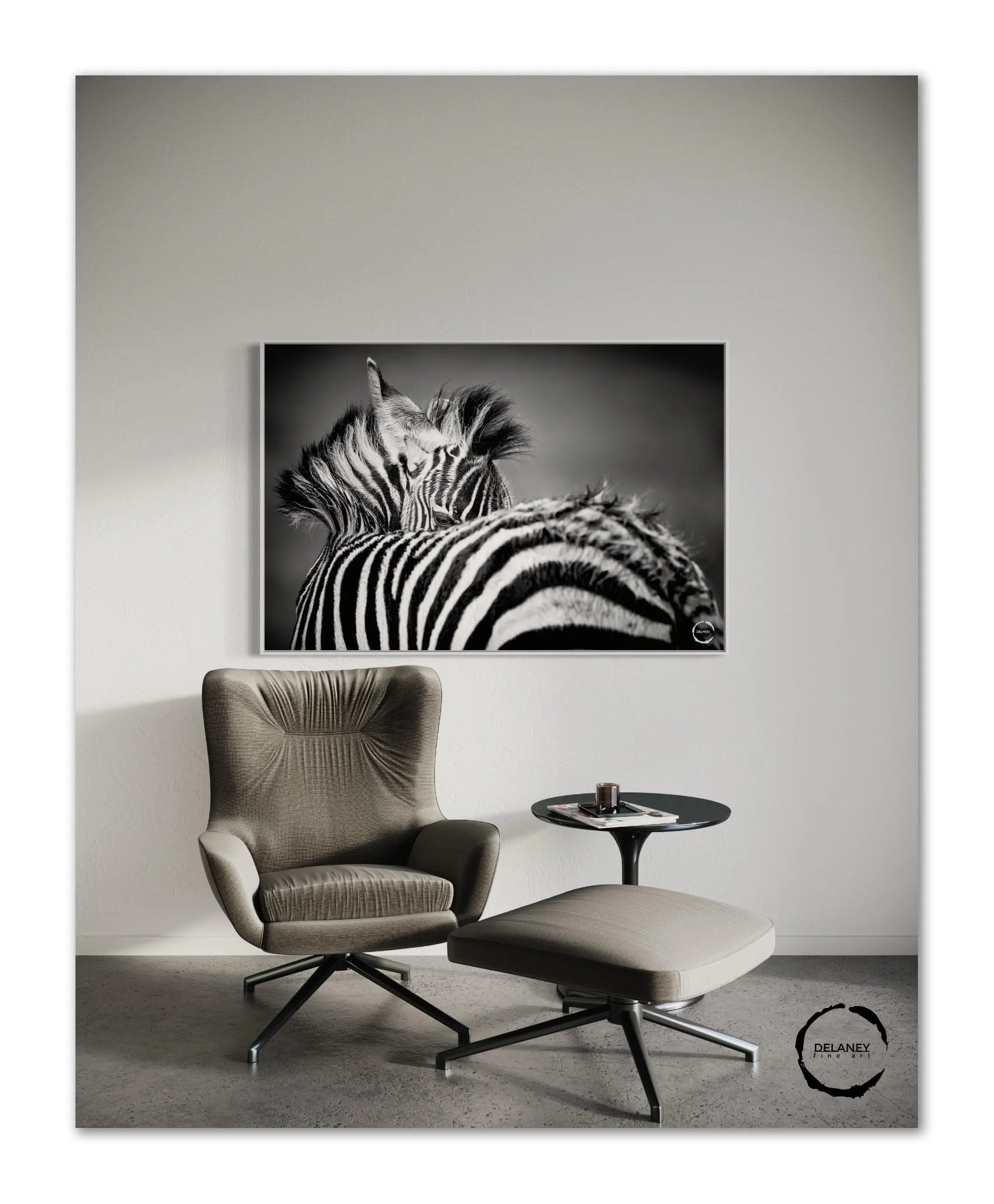 Zebra foal1.jpg