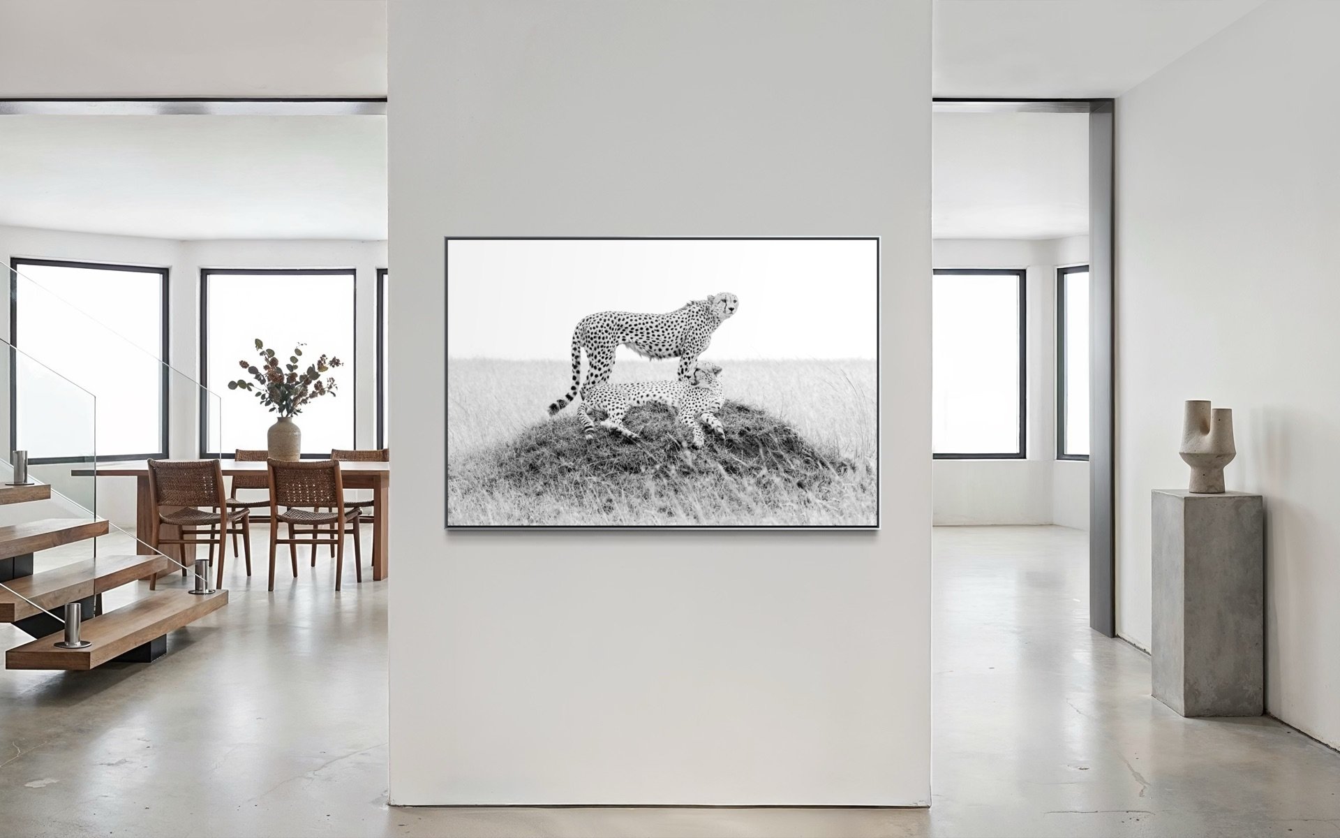 cheetah - 1.jpg