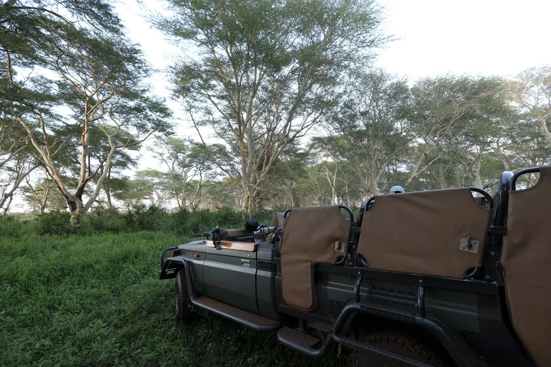 4x4 Safari Vehicles1.jpg