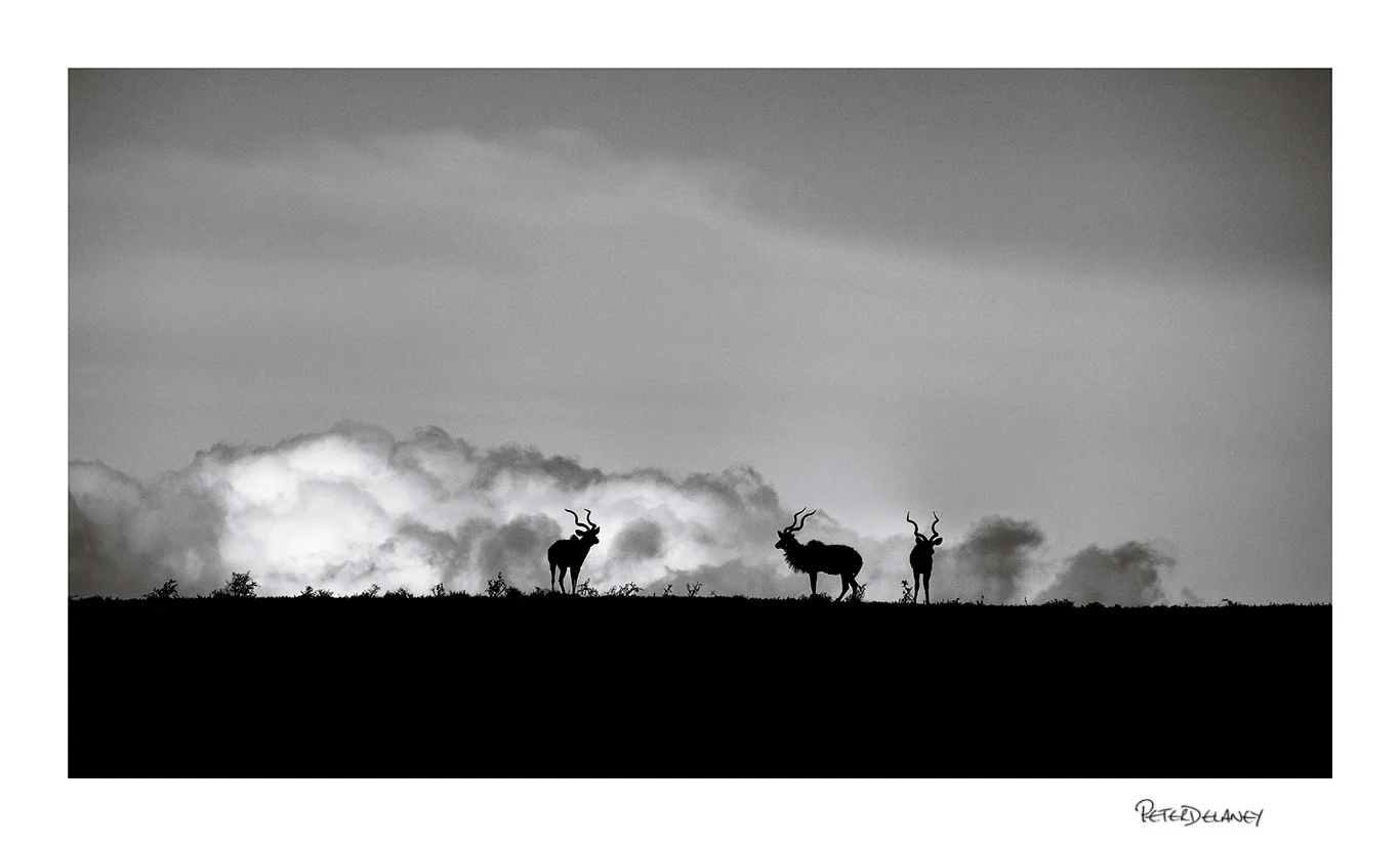 Kudus and Clouds