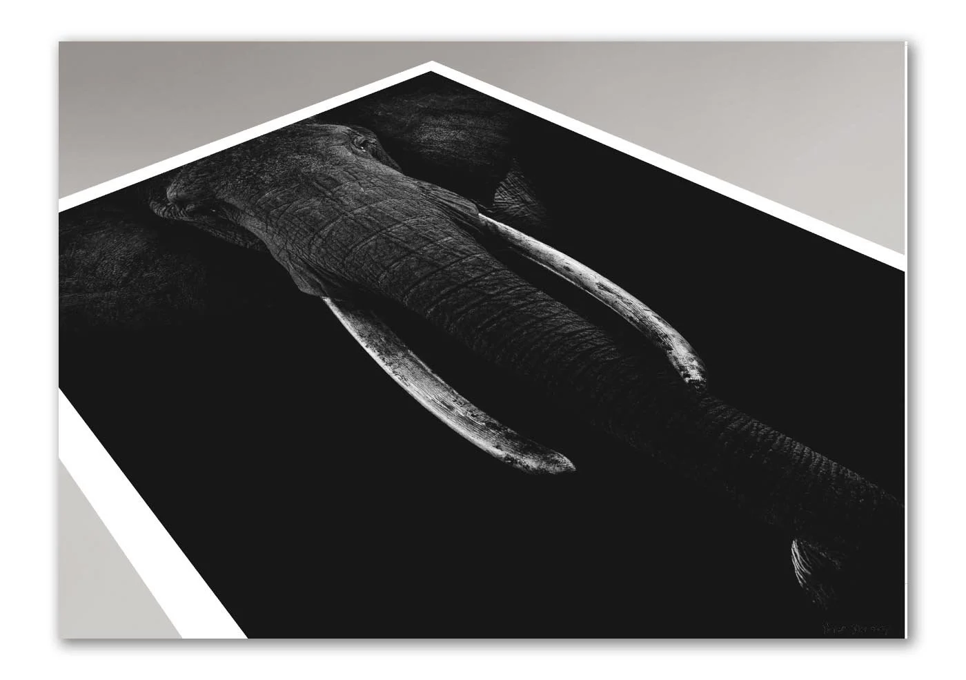 Screenshot 2023-10-18 at 11.26.54_Adobe_.jpg