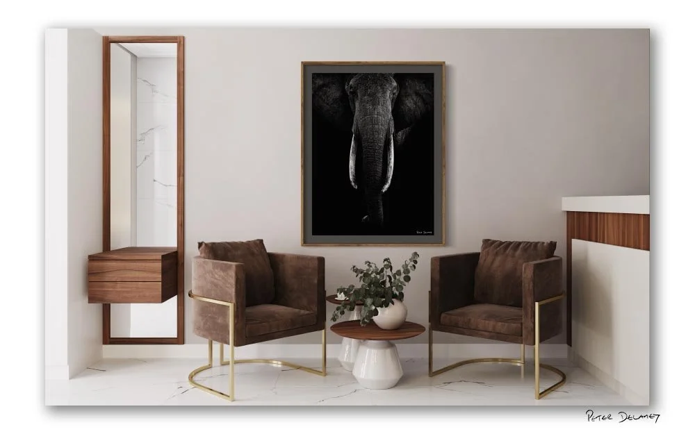 matriarch framed_Adobe.jpg