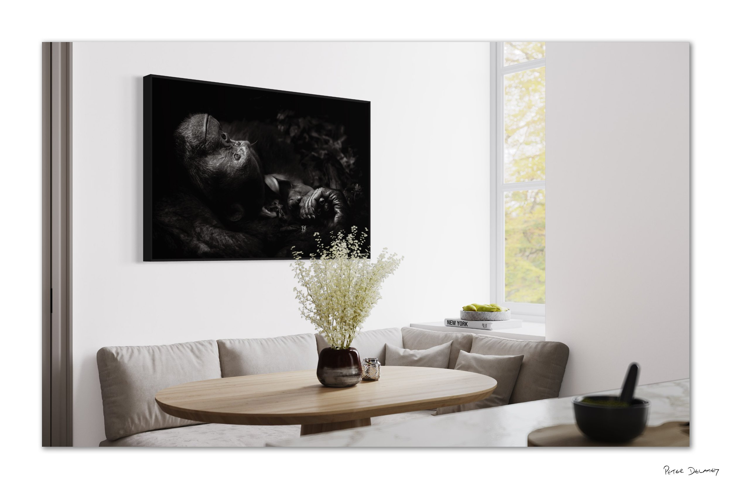 Chimp canvas.jpg