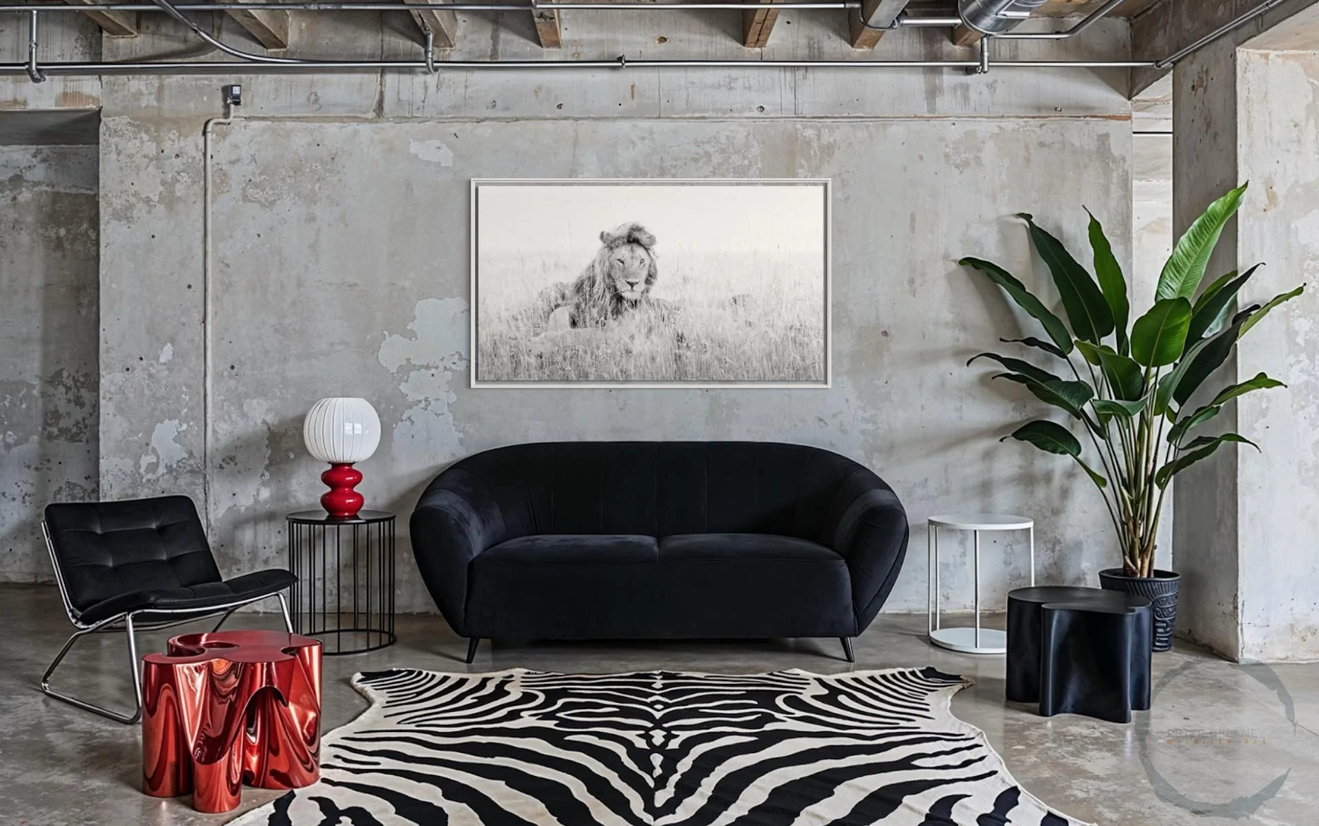 How Can I Decorate My Home with Delaney Wildlife Prints?