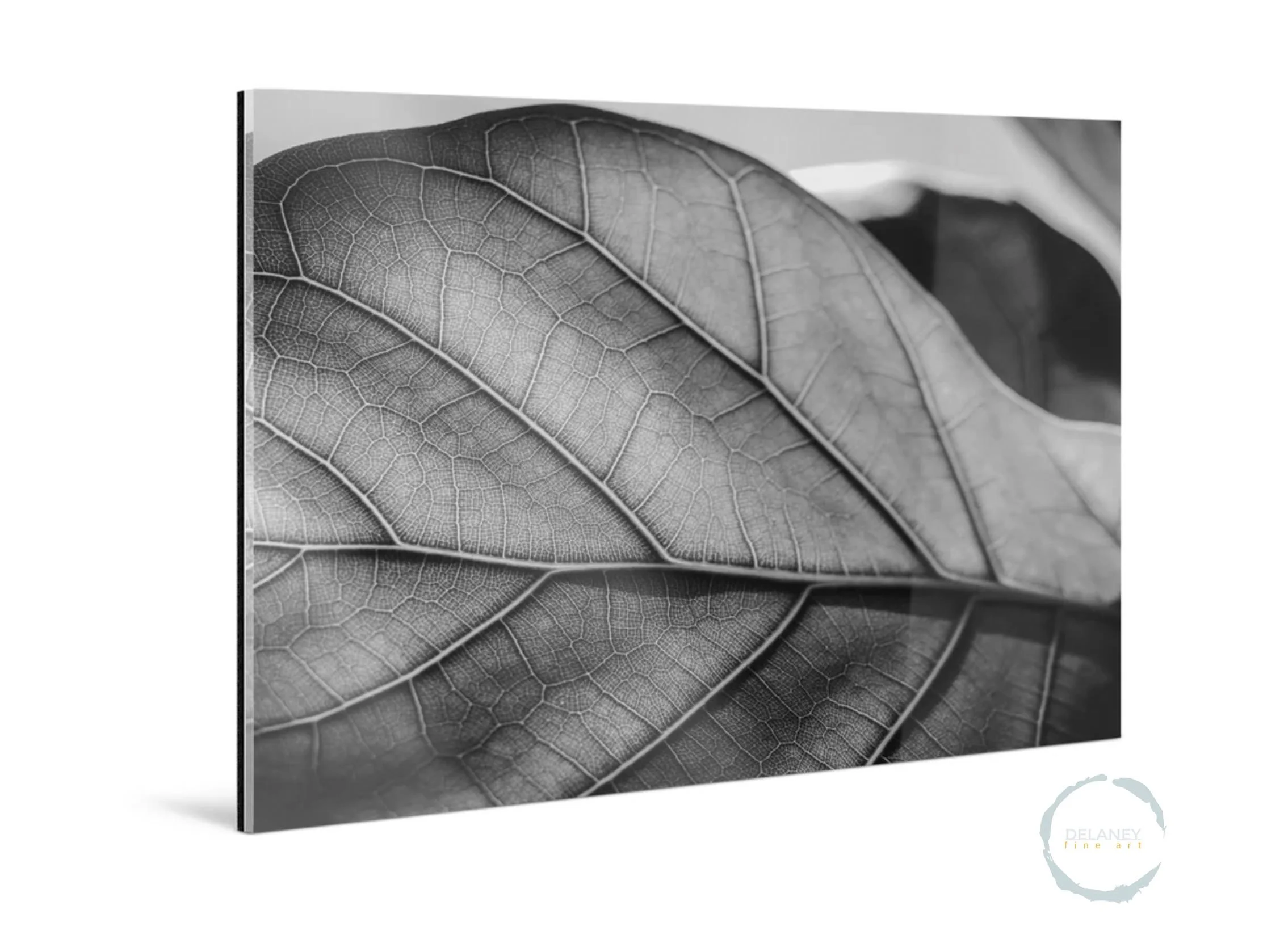 Acrylic Glass Print Side View 2mm