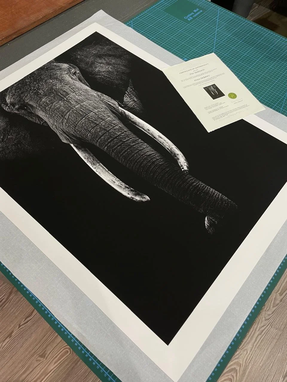 The Matriarch | Hand Signed Edition | Archival Fine Art Print on Hahnemühle Photo Rag