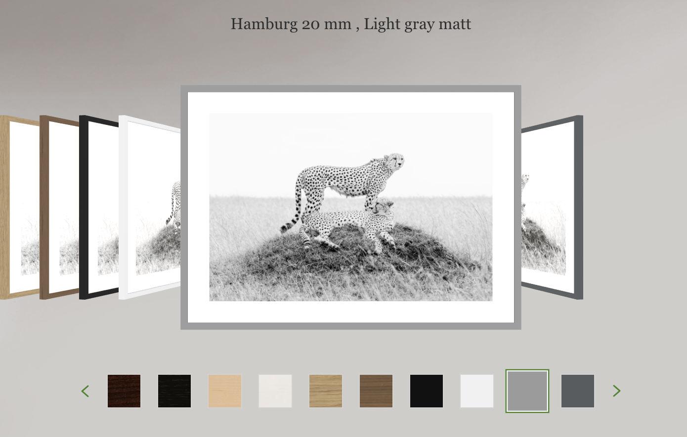 Hamburg Classic 20mm Light Gray Frame with Bright White Mat