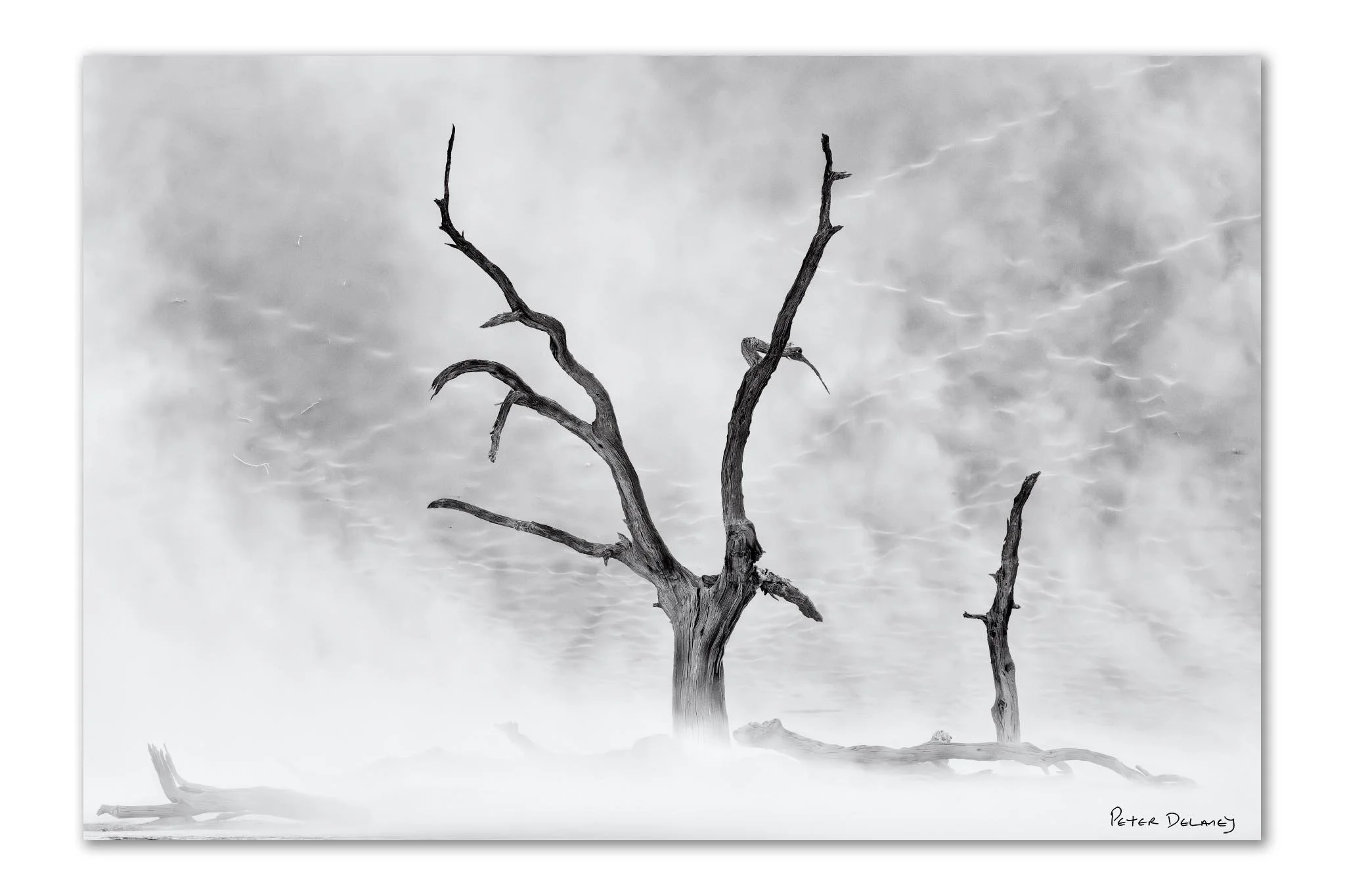 A Secret Love Affair with Landscapes