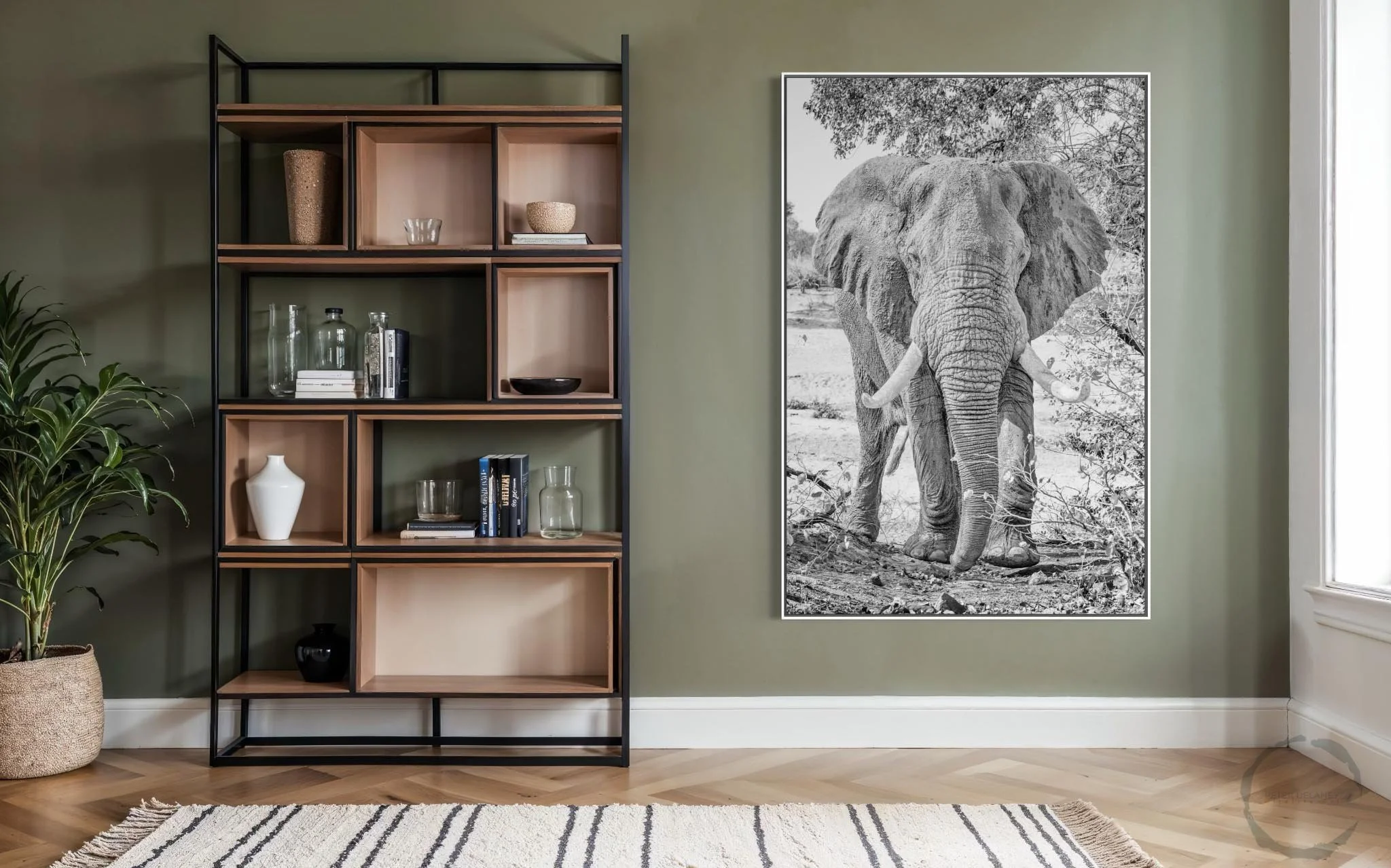 Wild Animal Art | Black and White Wildlife Prints&nbsp;