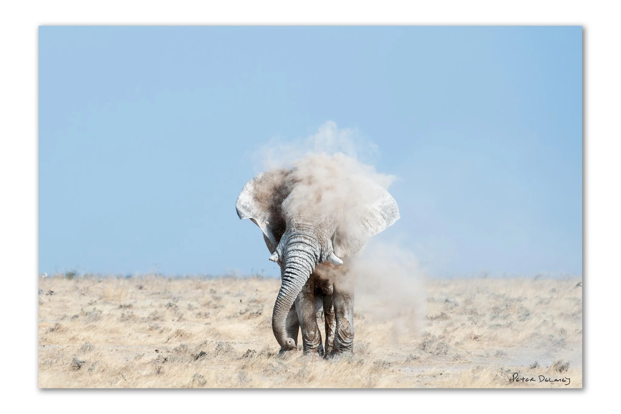 A Black and White Photographer's Dilemma: Five Colour Photographs