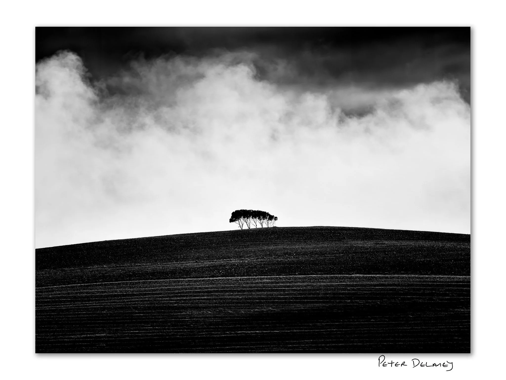 Black and white fine art landscape photograph of five trees standing on a furrowed hillside beneath gathering storm clouds