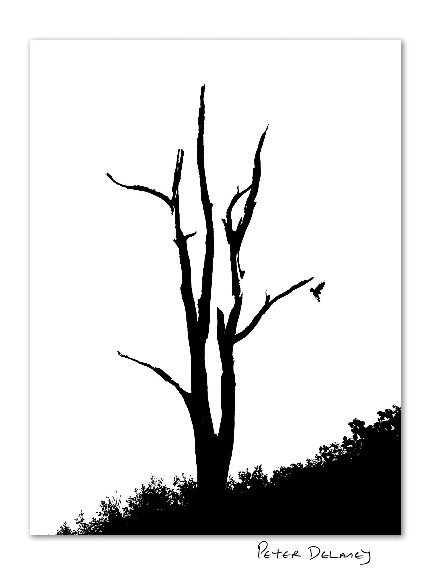 Zanshin | Limited Edition Fine Art Print | Peter Delaney