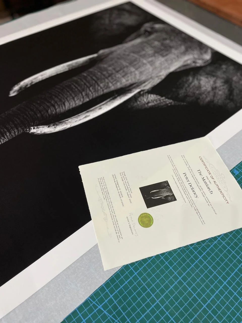 How to Collect a Print: Unframed, Signed, or Limited Edition