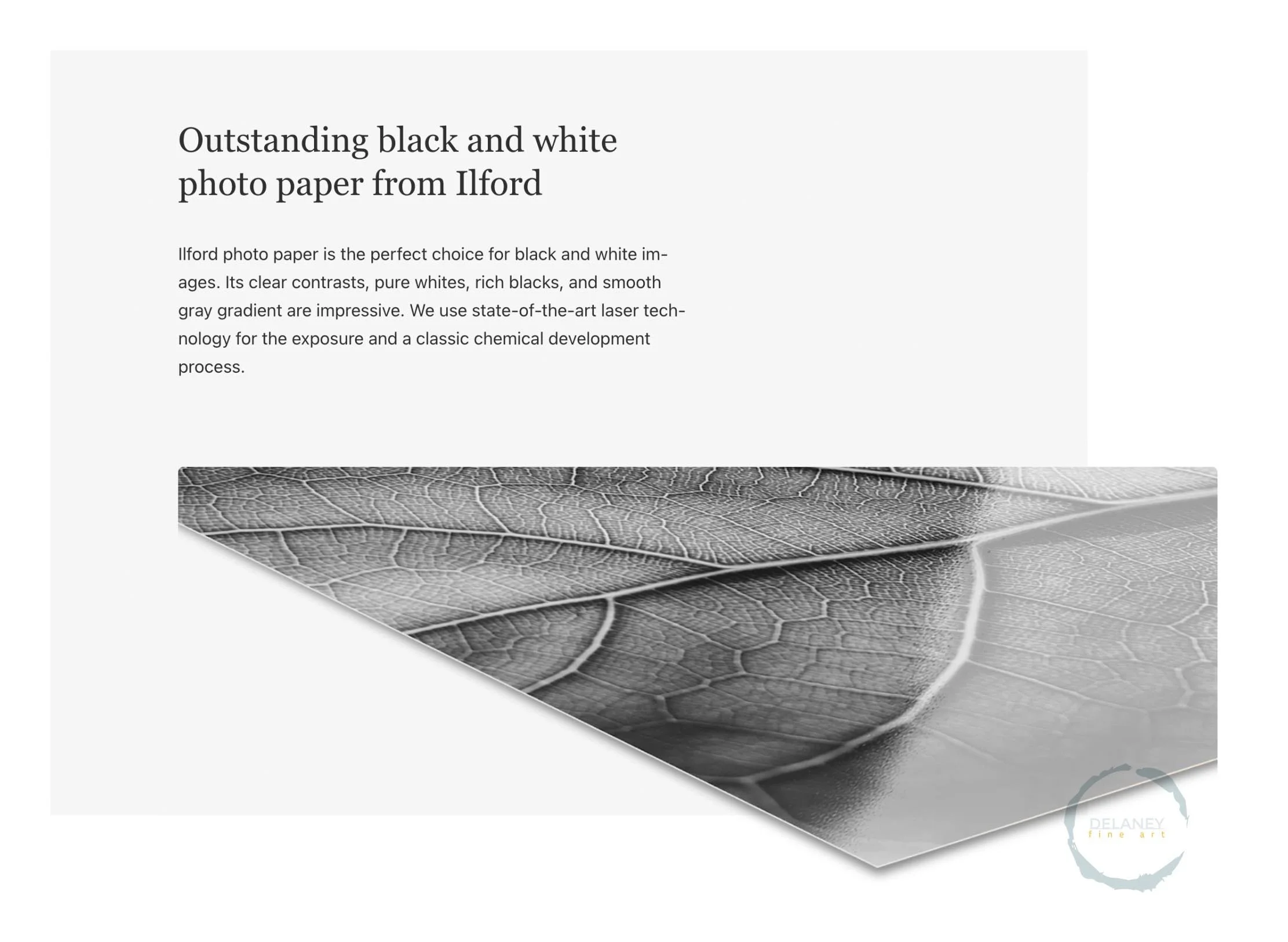 whitewall acrylic2.jpg (Copy) (Copy) (Copy) (Copy)