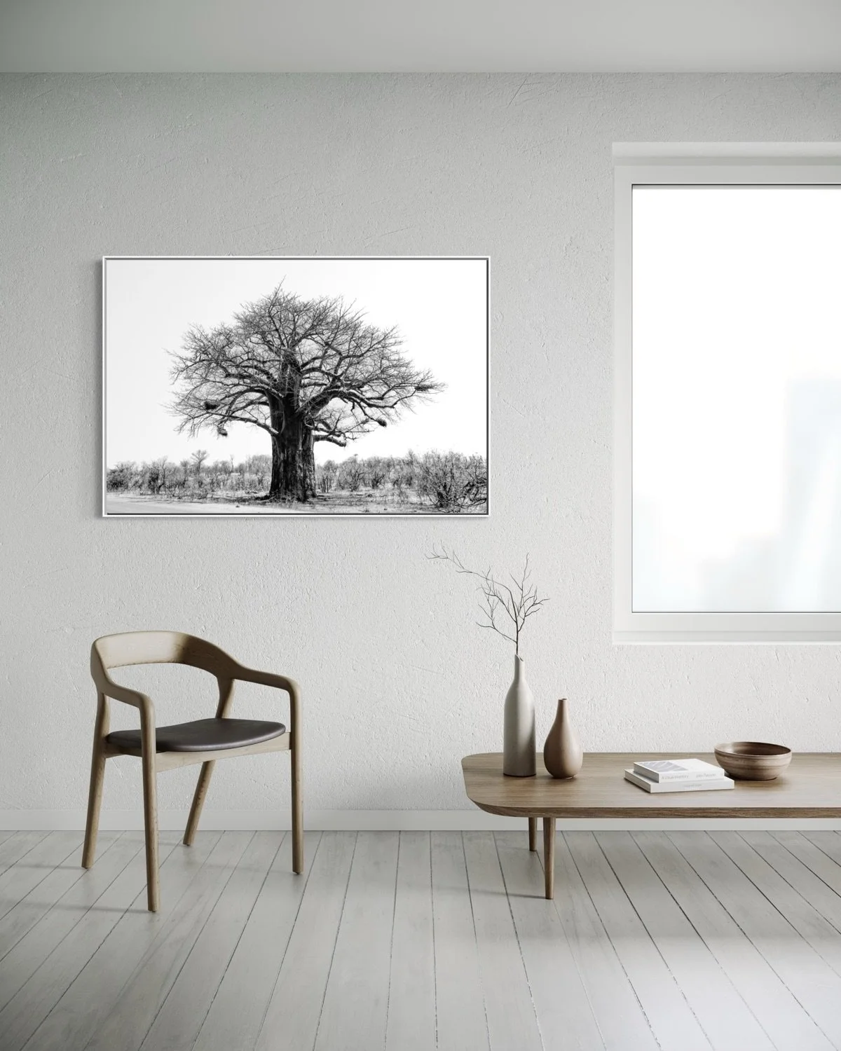 baobab-3.jpg