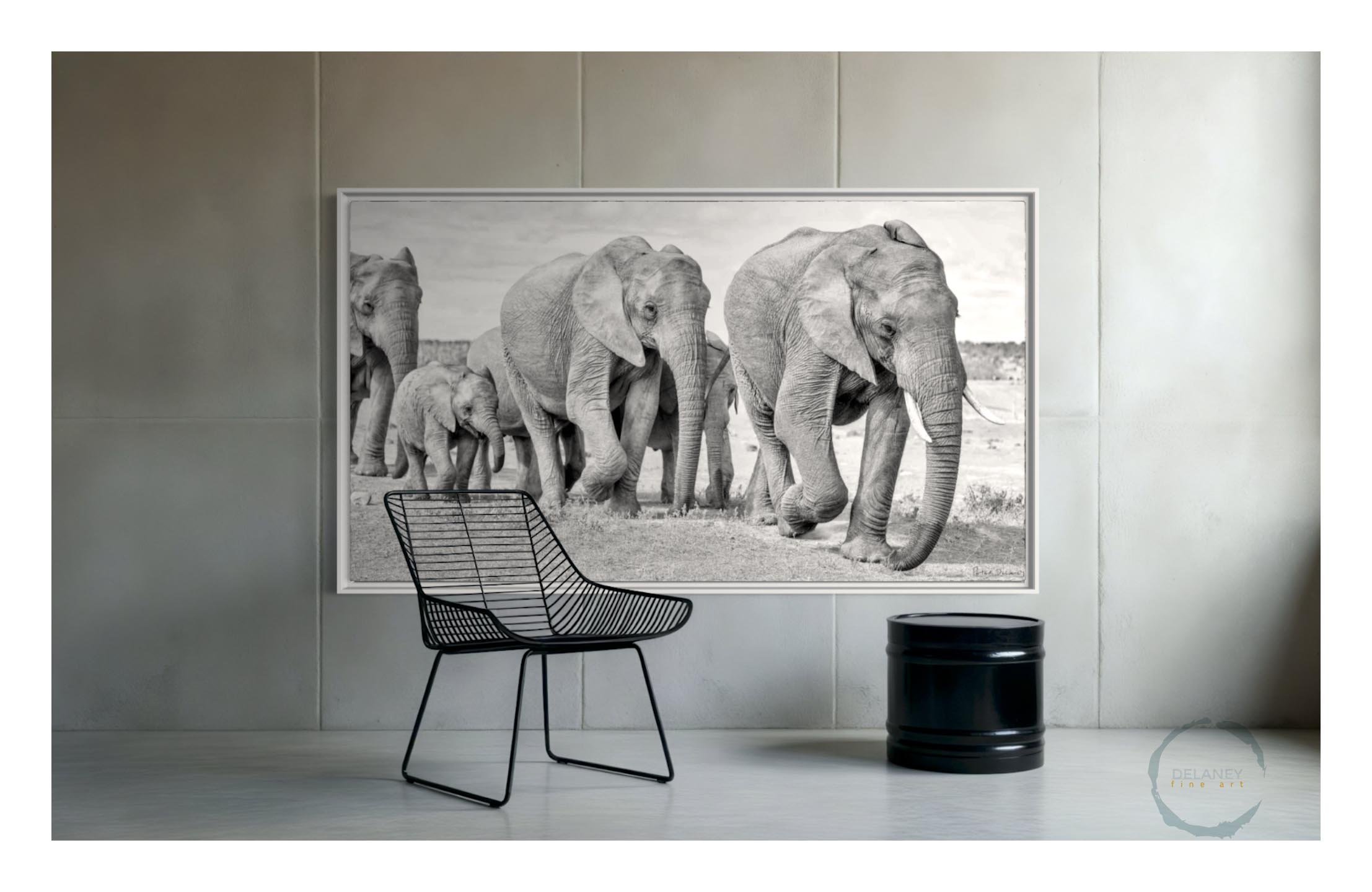 Elephants-last-days3.jpg