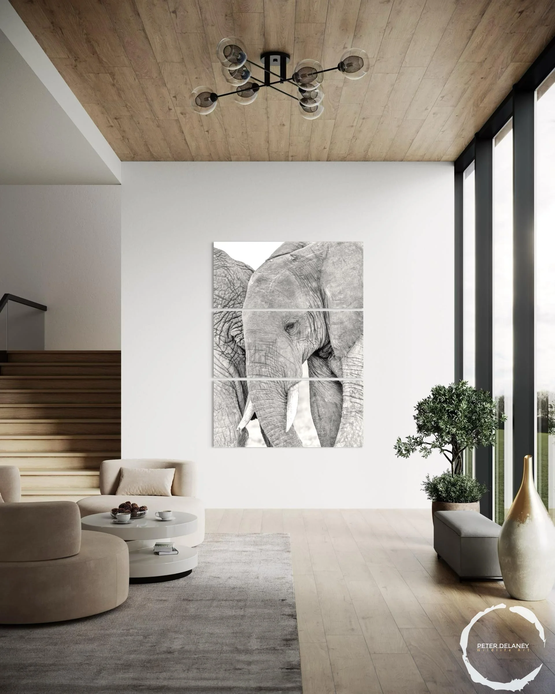 elephant-tender-moments-3.jpg
