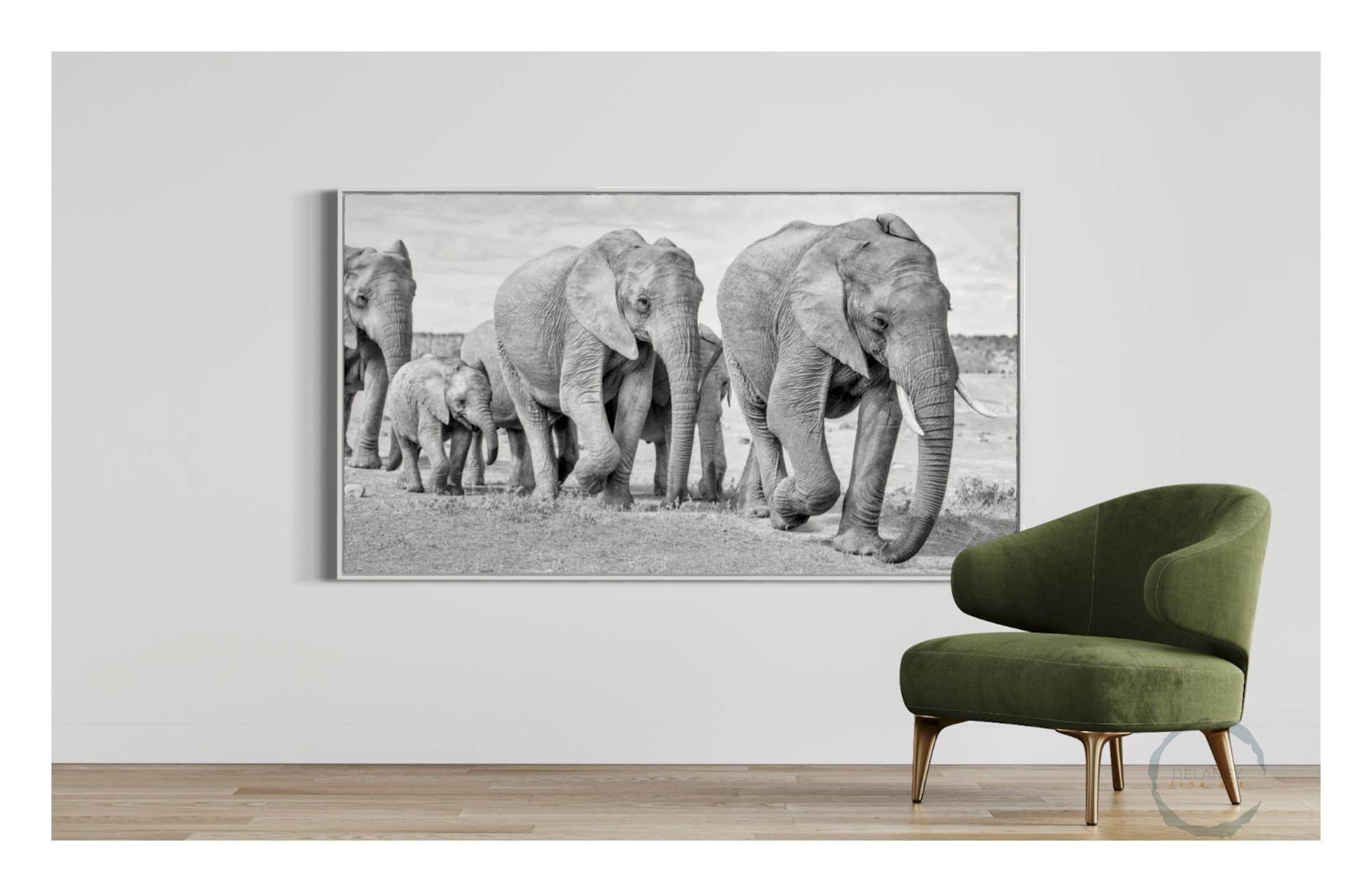 Elephants-last-days2.jpg