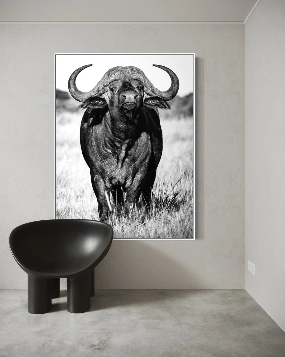 cape-buffalo-mokola.jpg