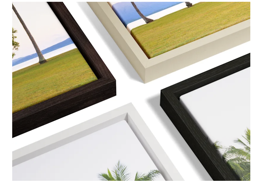 Canvas Fllaoter Frame1.png (Copy)