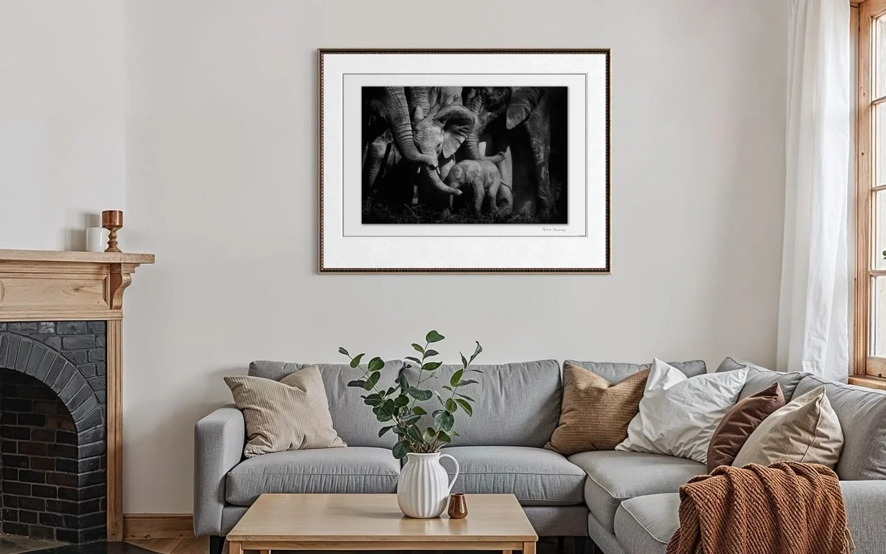 bonds of Love framed.jpg (Copy)