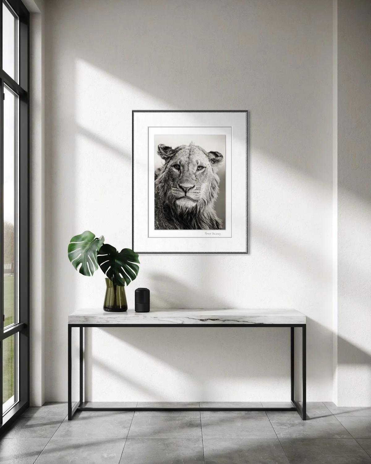 Neo  The Stare frame-1.jpg