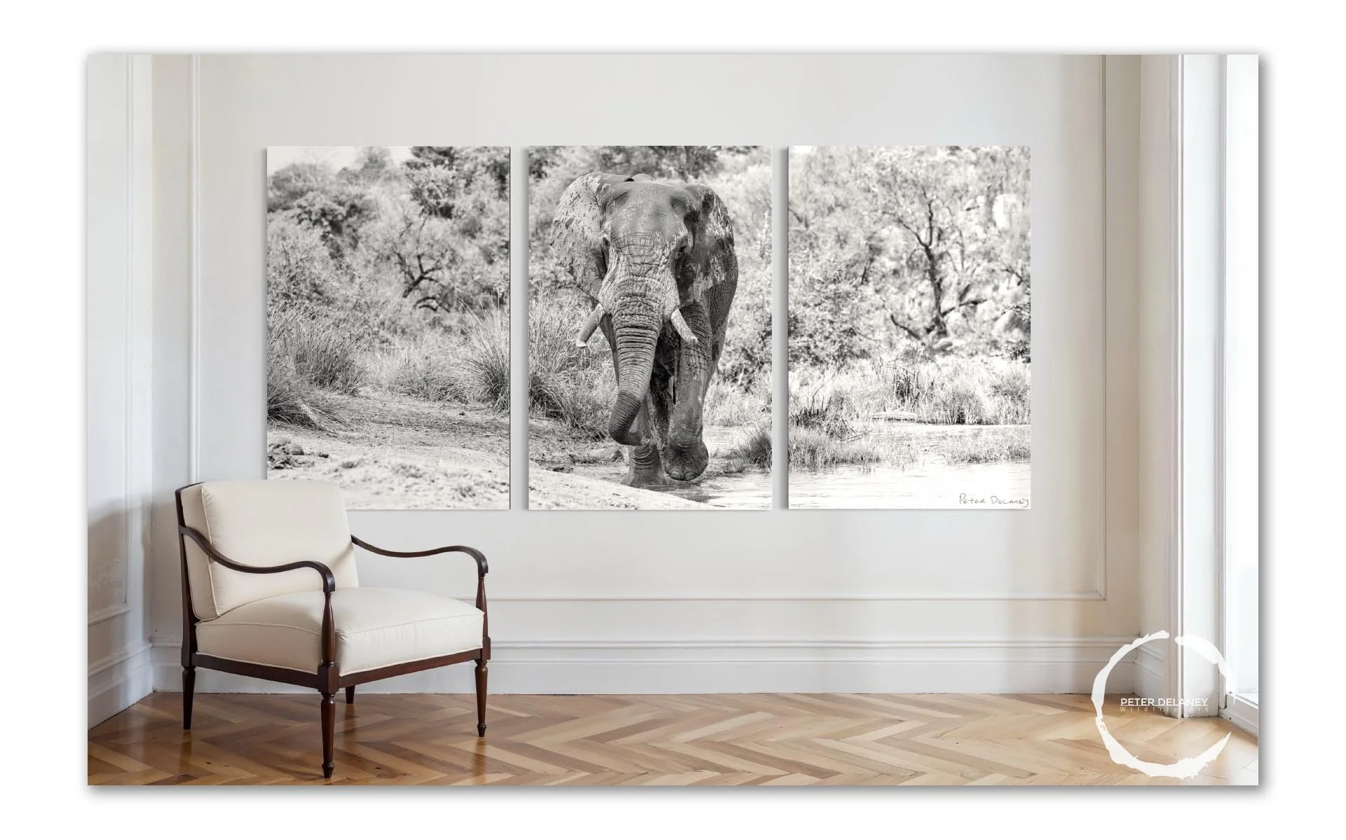 Emerging Tusker-panels-4.jpg